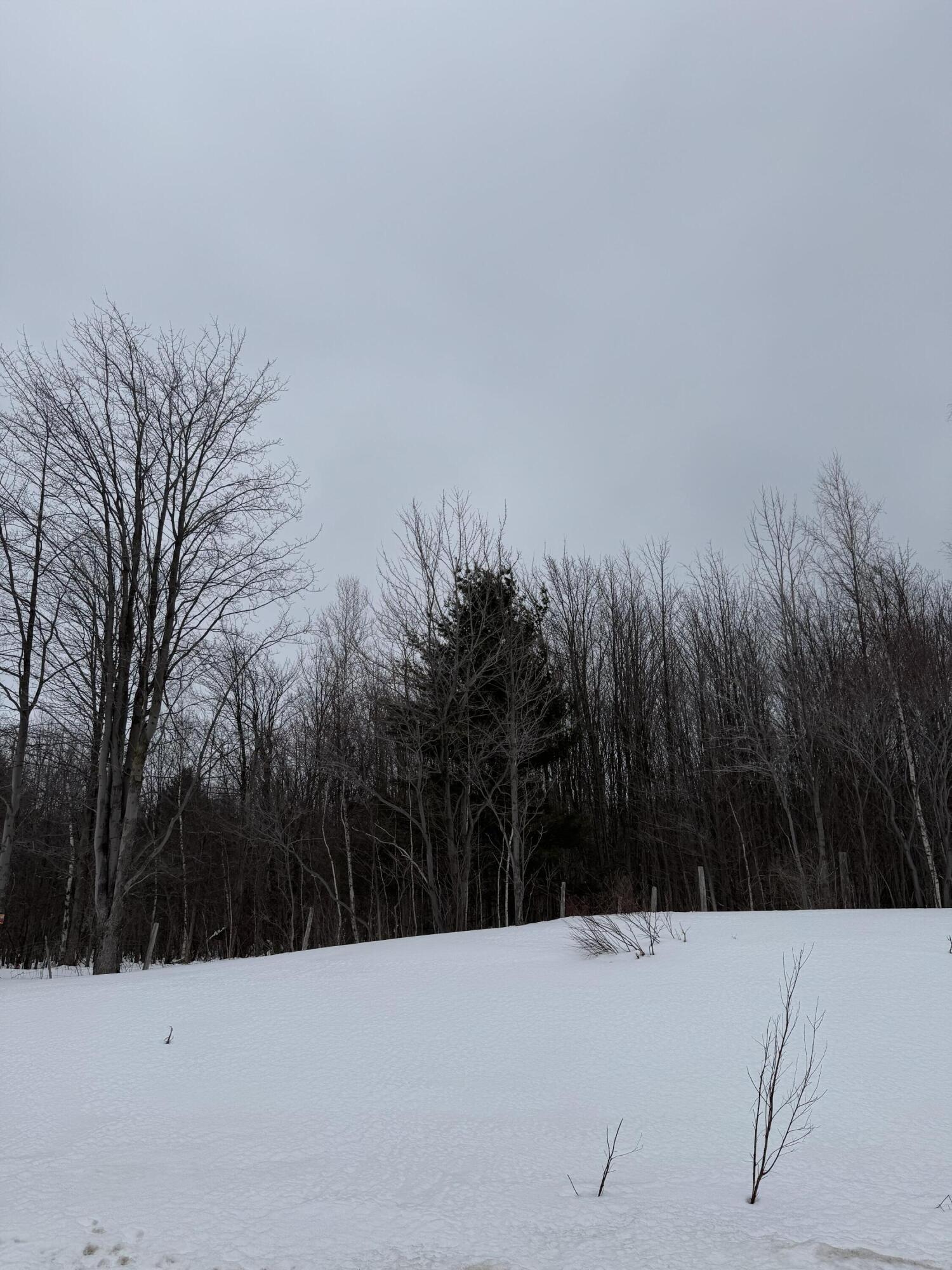 Route 11, Malone, New York image 4
