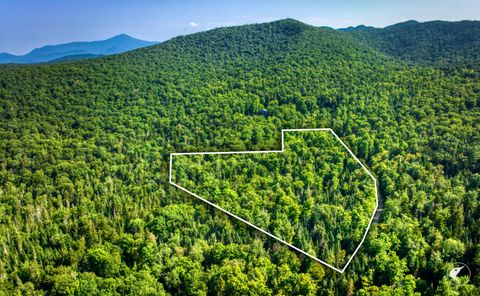 0 Grouse Creek Way LOT 4 Lake Placid NY 12946