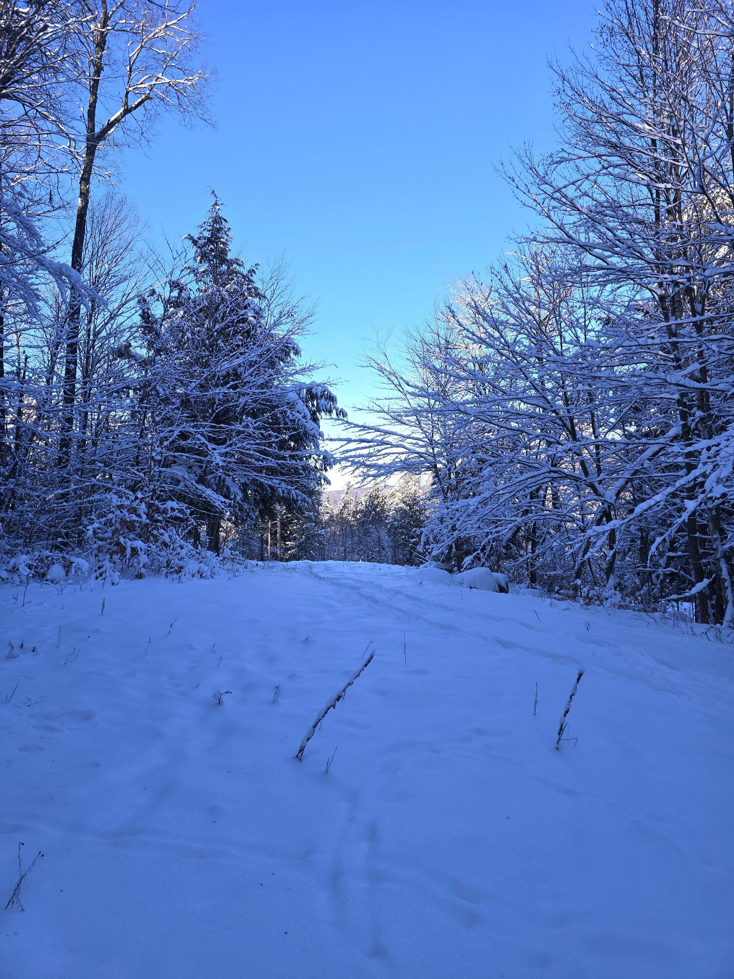 Johnson Road, Malone, New York image 9