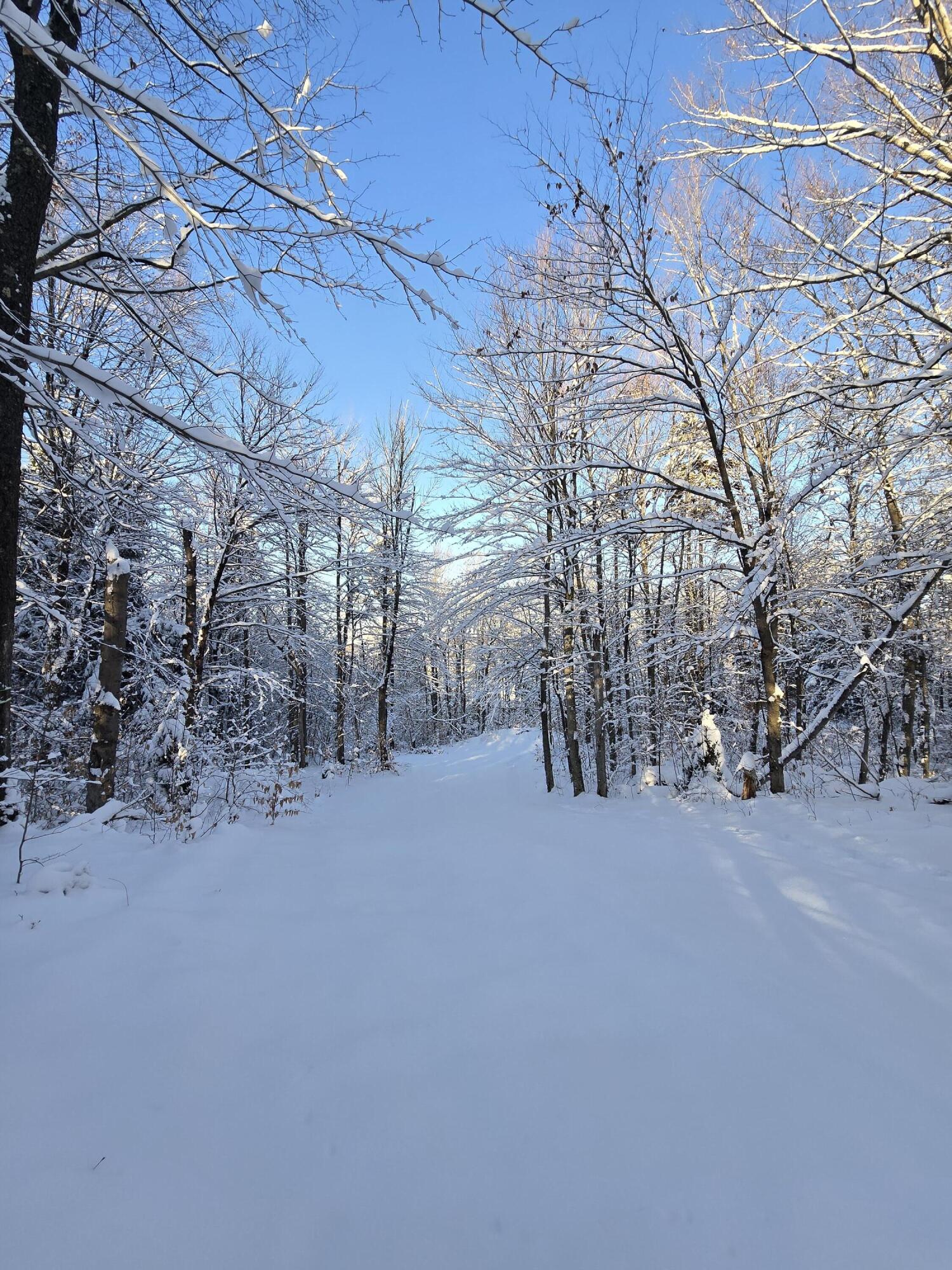 Johnson Road, Malone, New York image 1