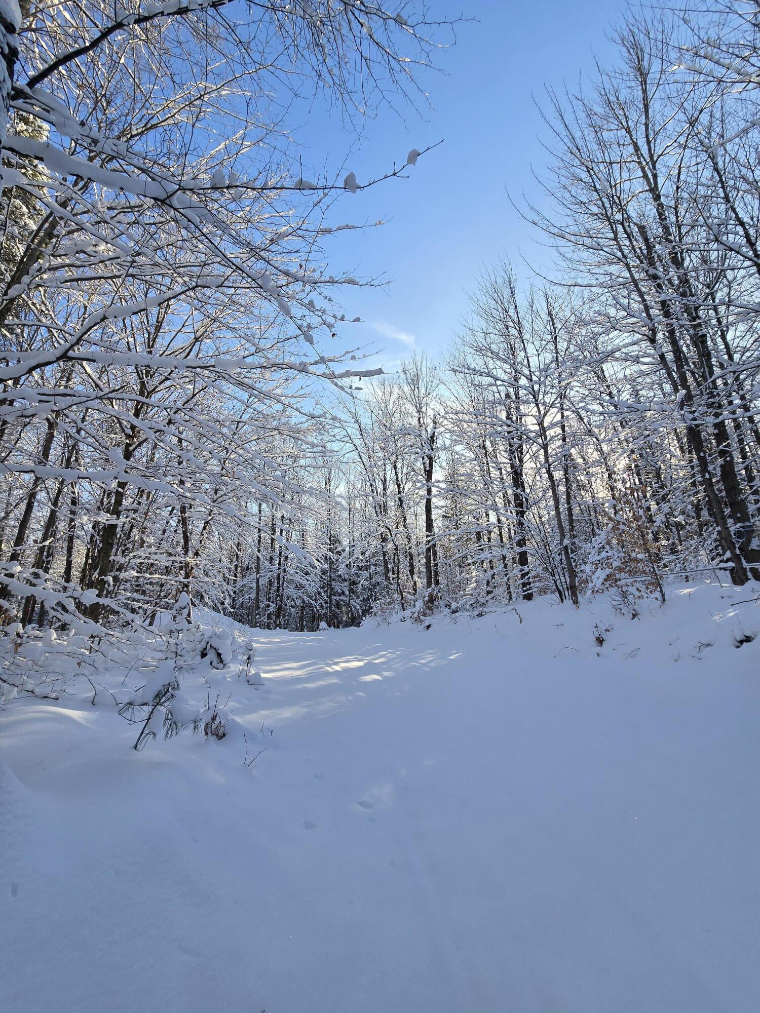 Johnson Road, Malone, New York image 8