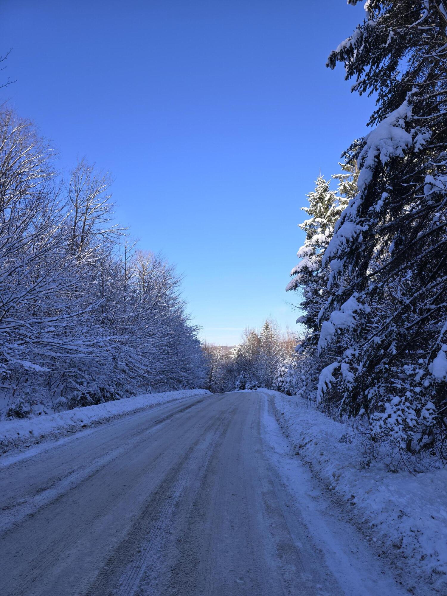 Johnson Road, Malone, New York image 5