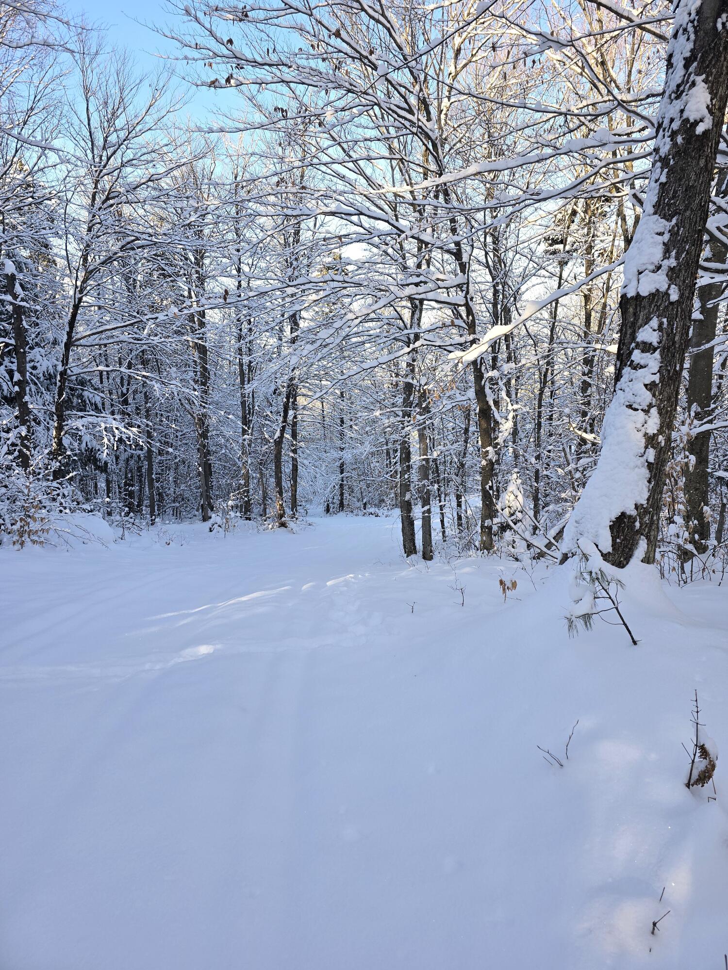 Johnson Road, Malone, New York image 2