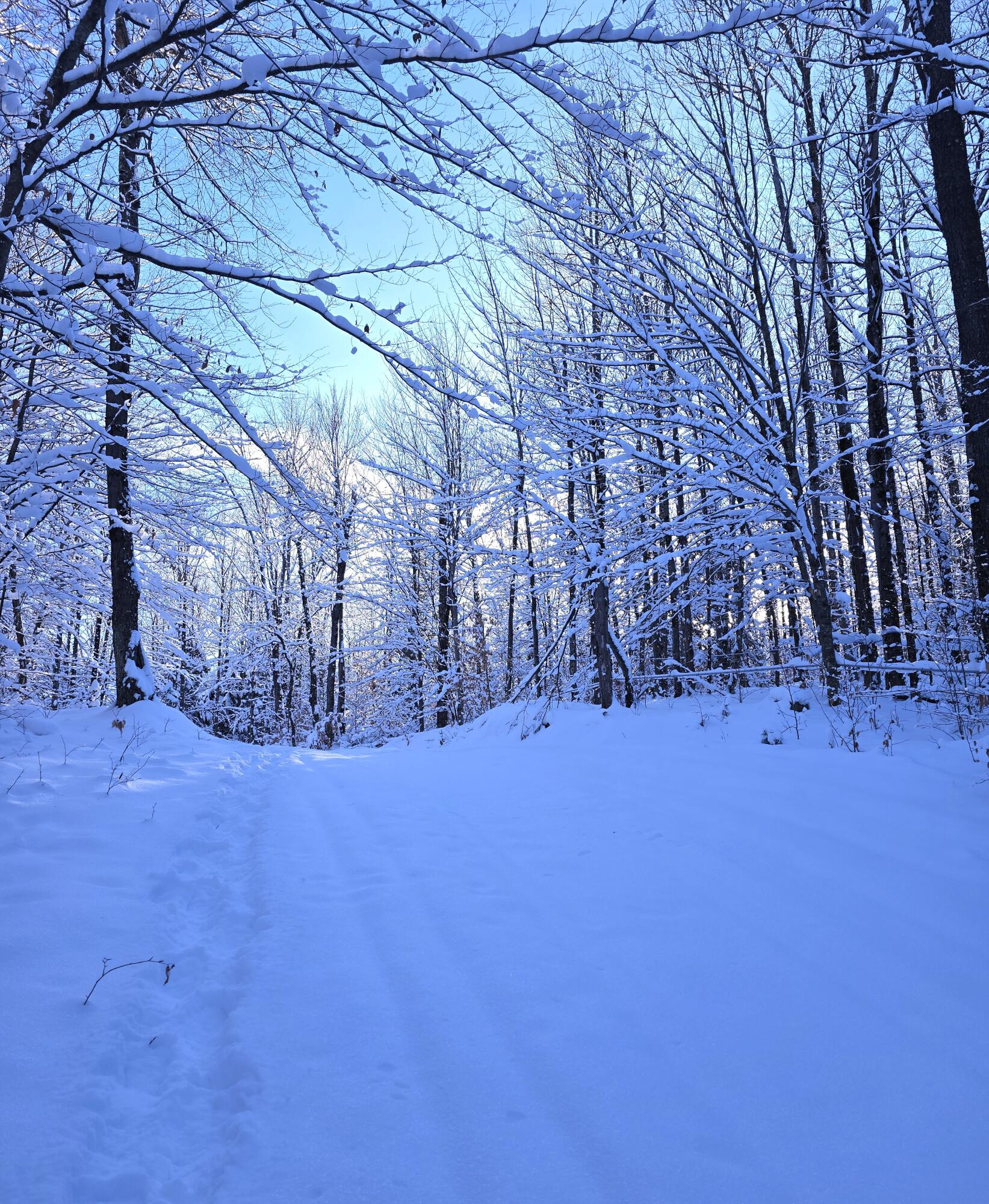 Johnson Road, Malone, New York image 3