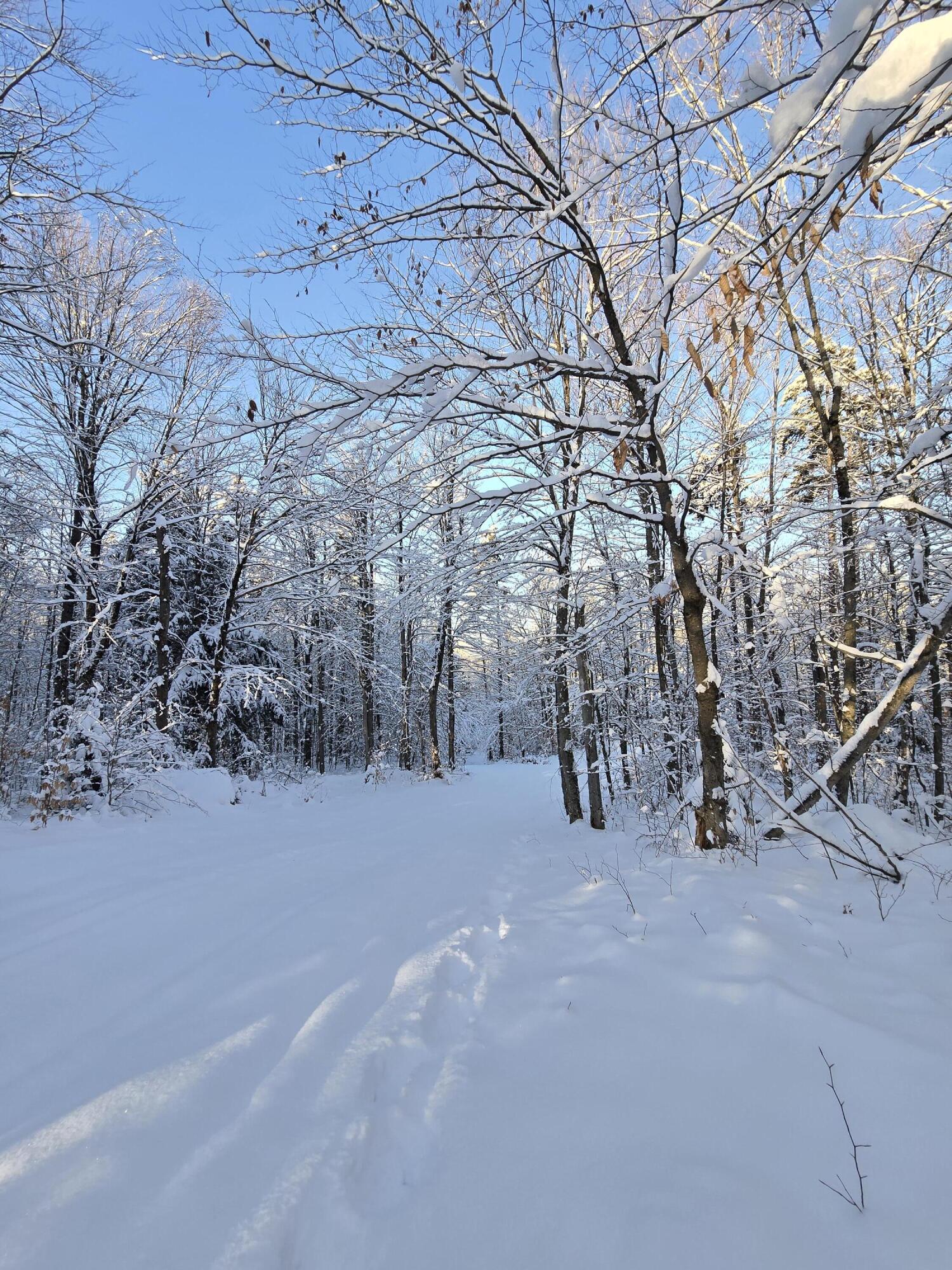 Johnson Road, Malone, New York image 7