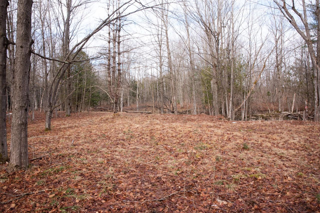 106 Mcdonald Road, Mooers Forks, New York image 6