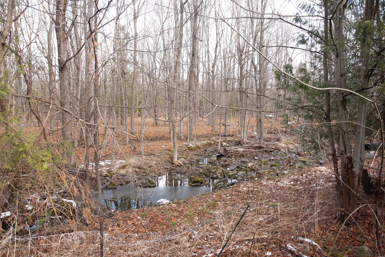 106 Mcdonald Road, Mooers Forks, New York image 9