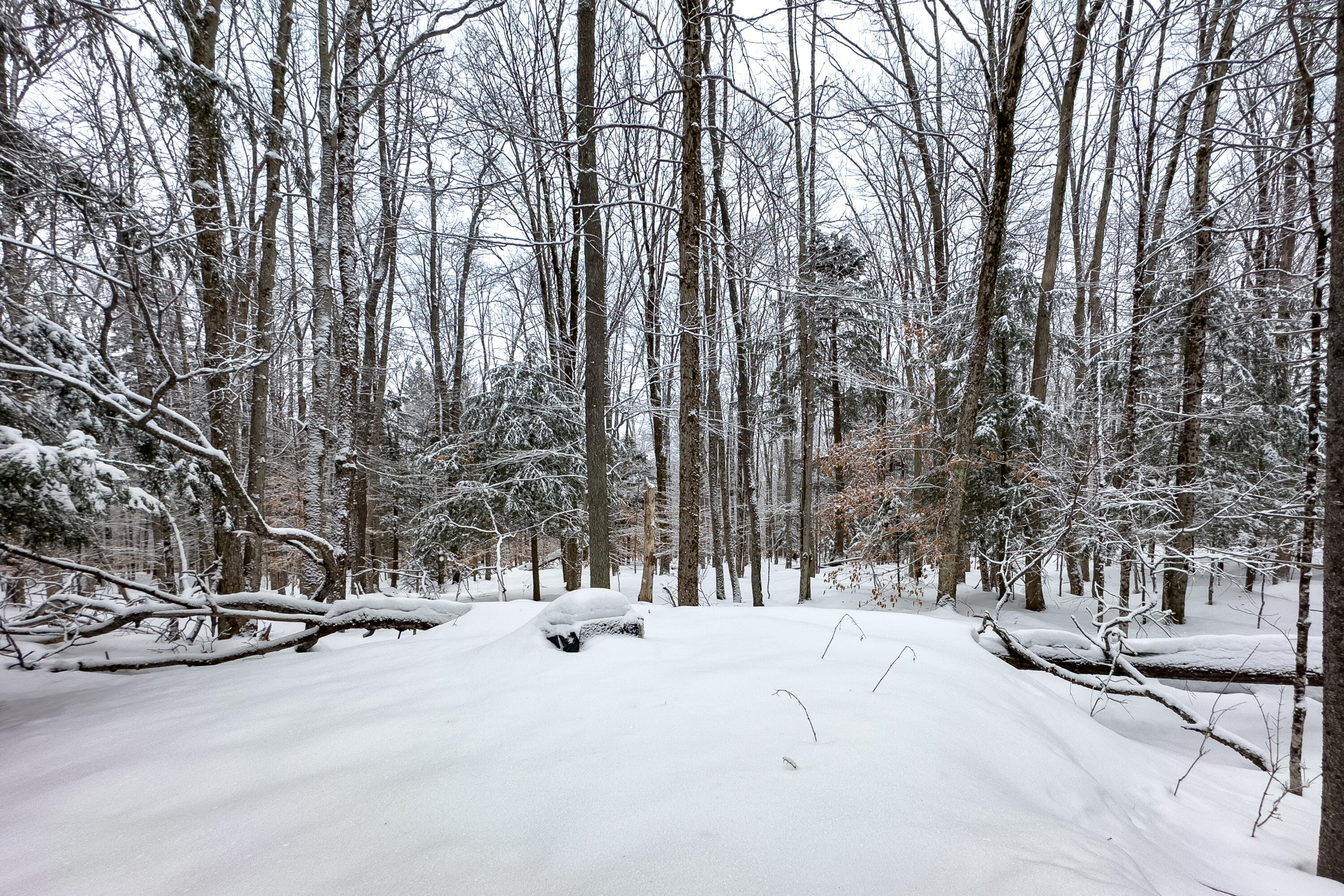 1848 Gray Wilmurt Road