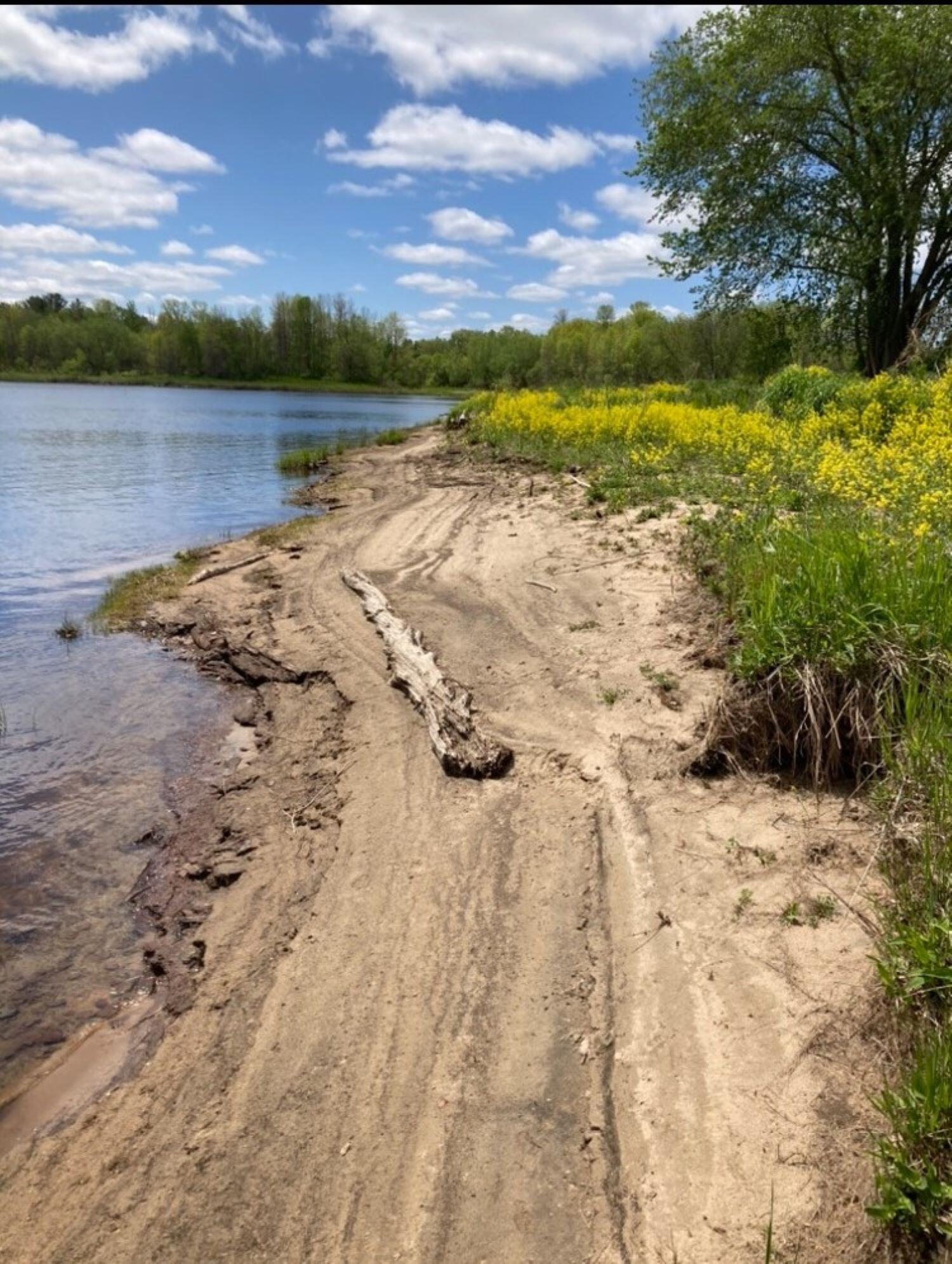 Cr53 - Accadian Island, Brasher Falls, New York image 7