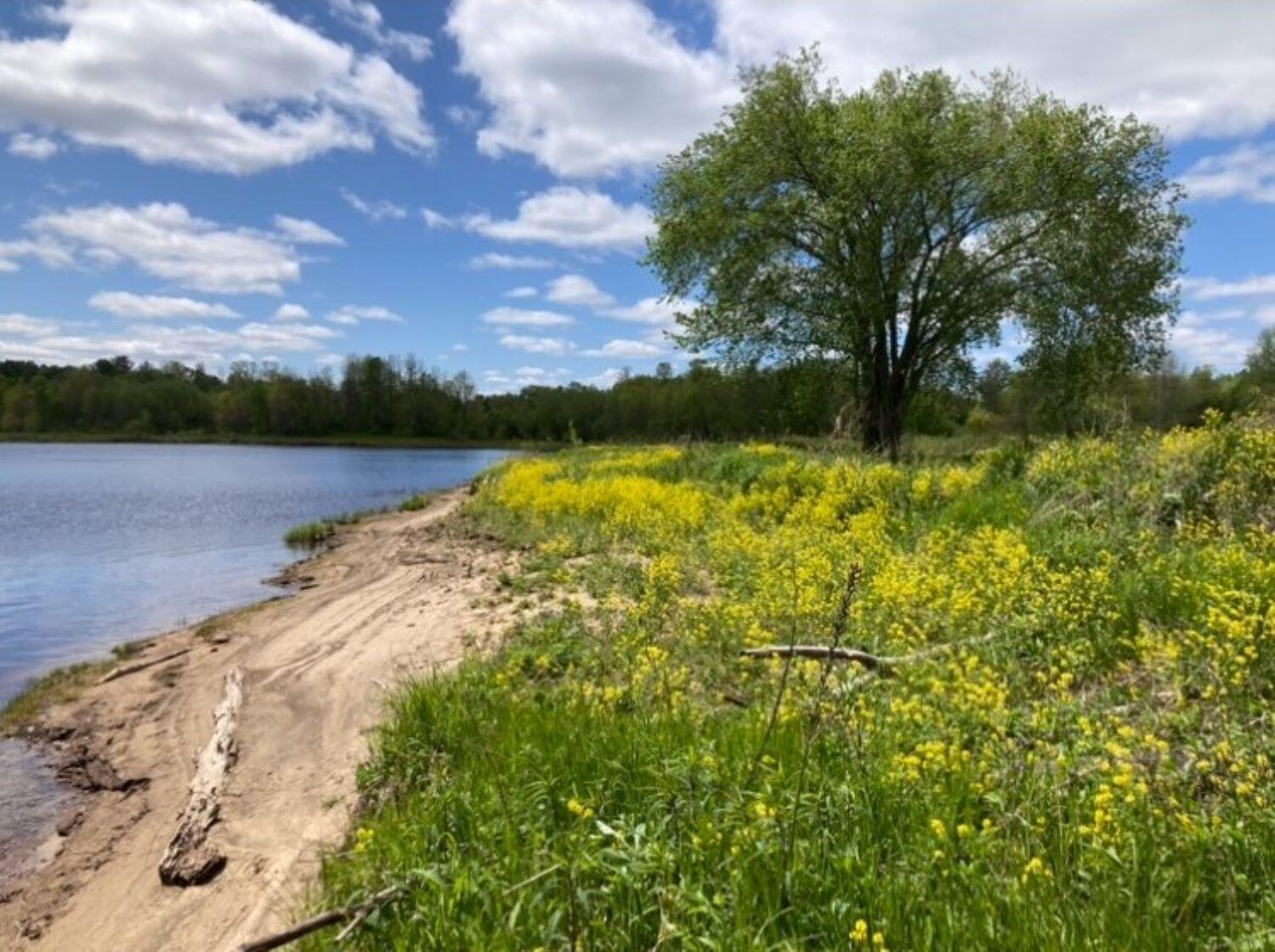 Cr53 - Accadian Island, Brasher Falls, New York image 5