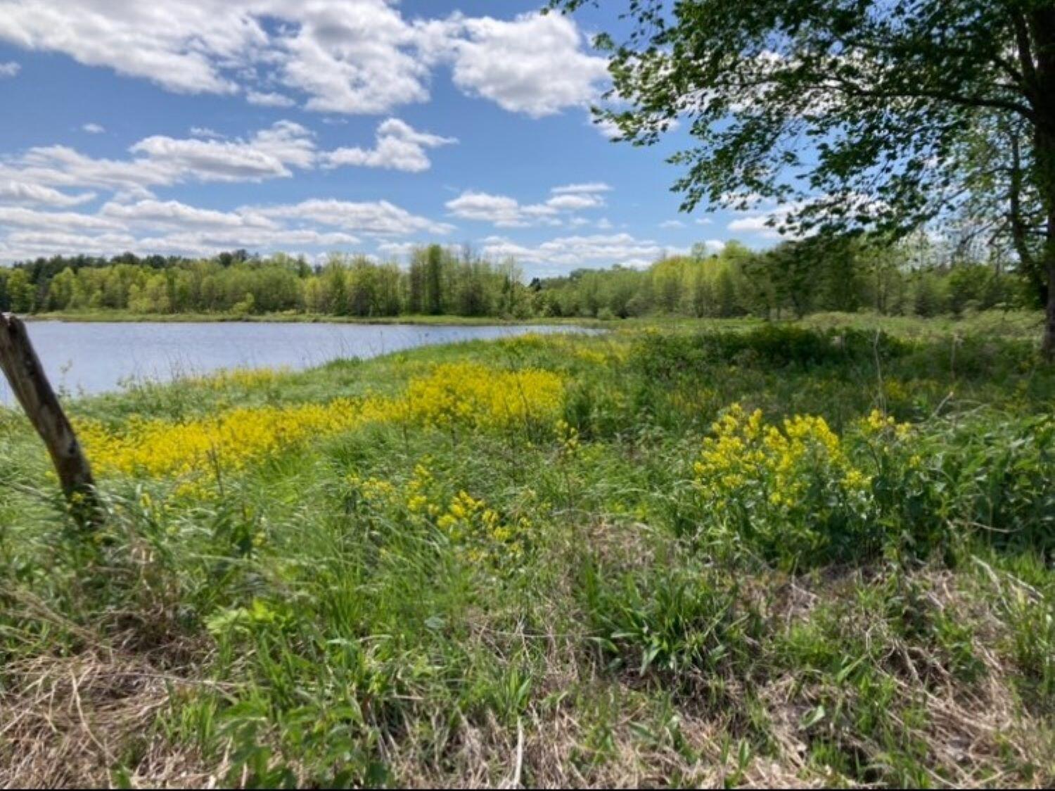 Cr53 - Accadian Island, Brasher Falls, New York image 17