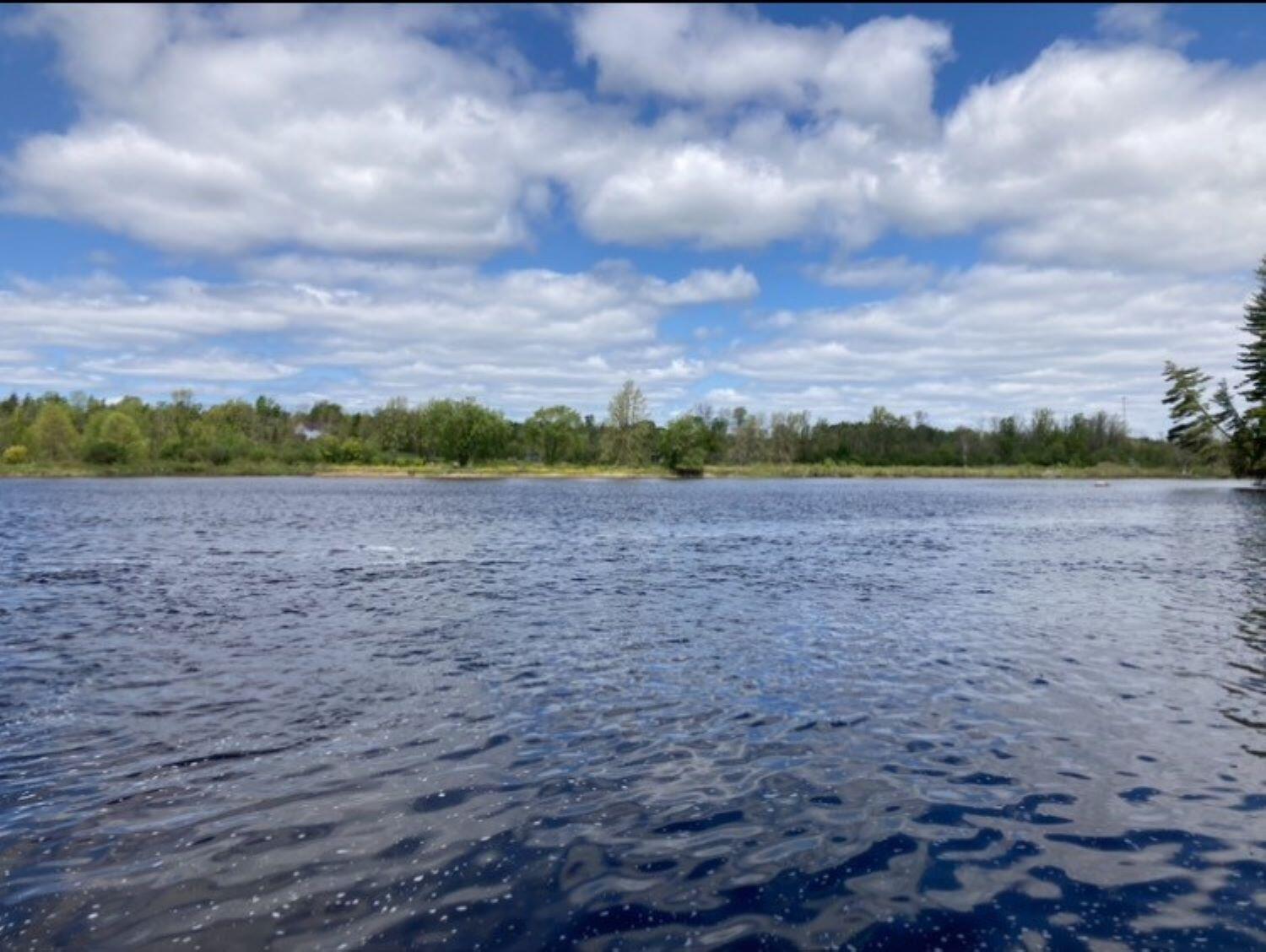 Cr53 - Accadian Island, Brasher Falls, New York image 4