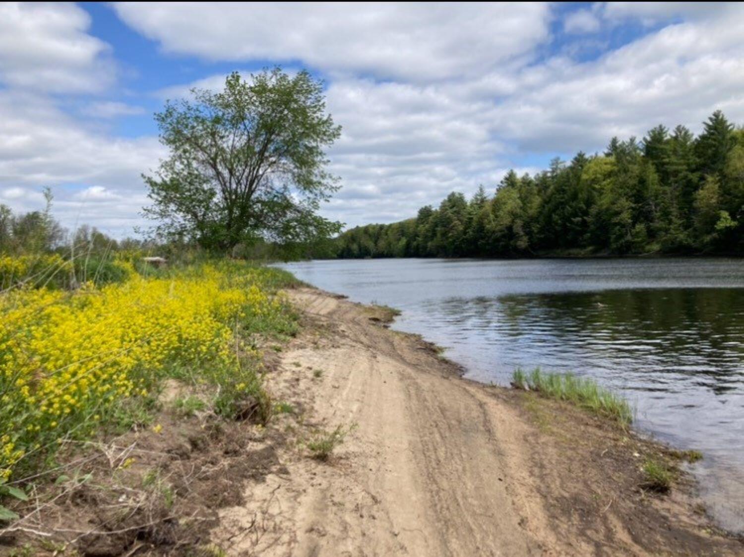 Cr53 - Accadian Island, Brasher Falls, New York image 8