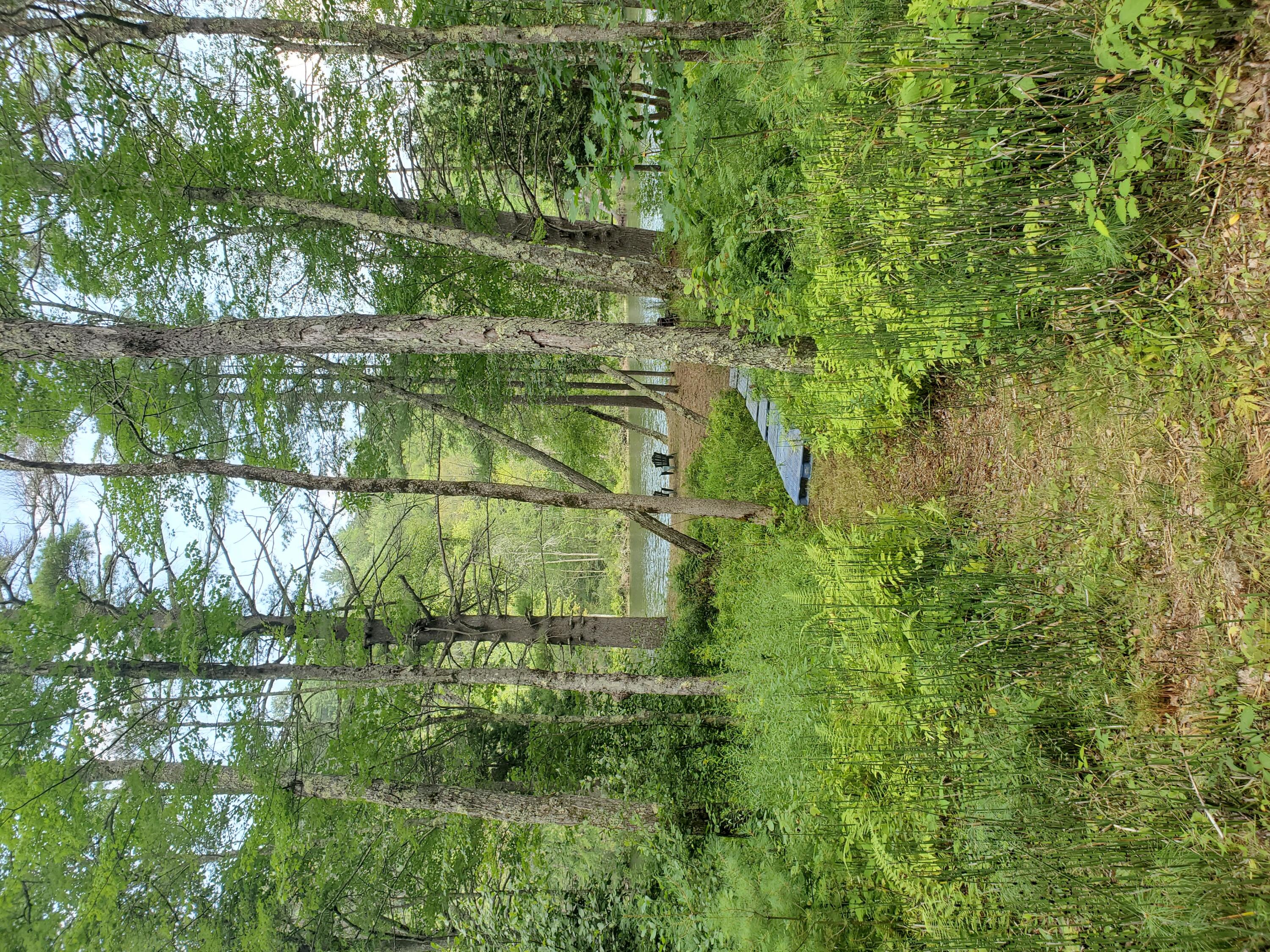 2 Dixon Road, Chestertown, New York image 25