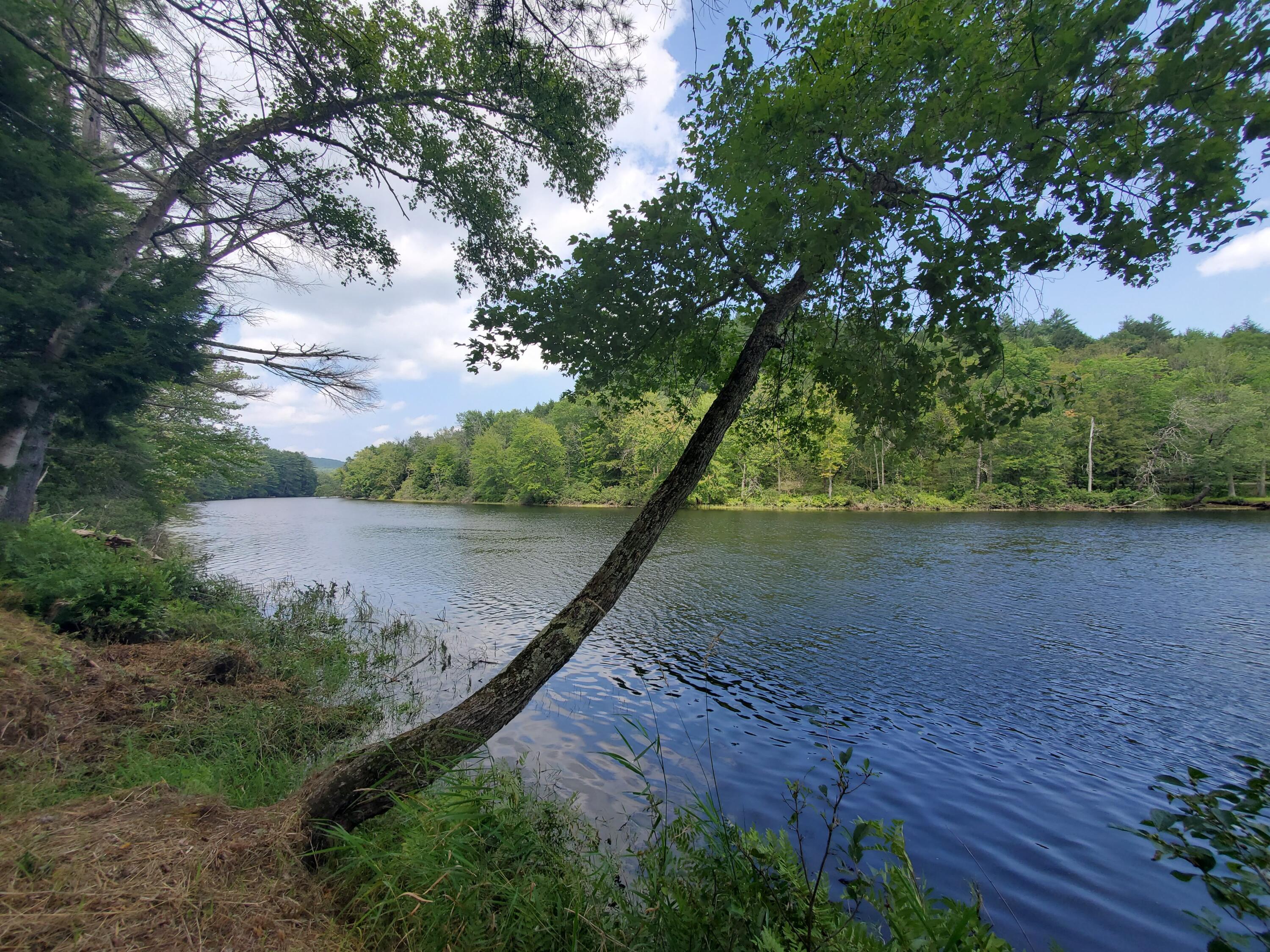 2 Dixon Road, Chestertown, New York image 19