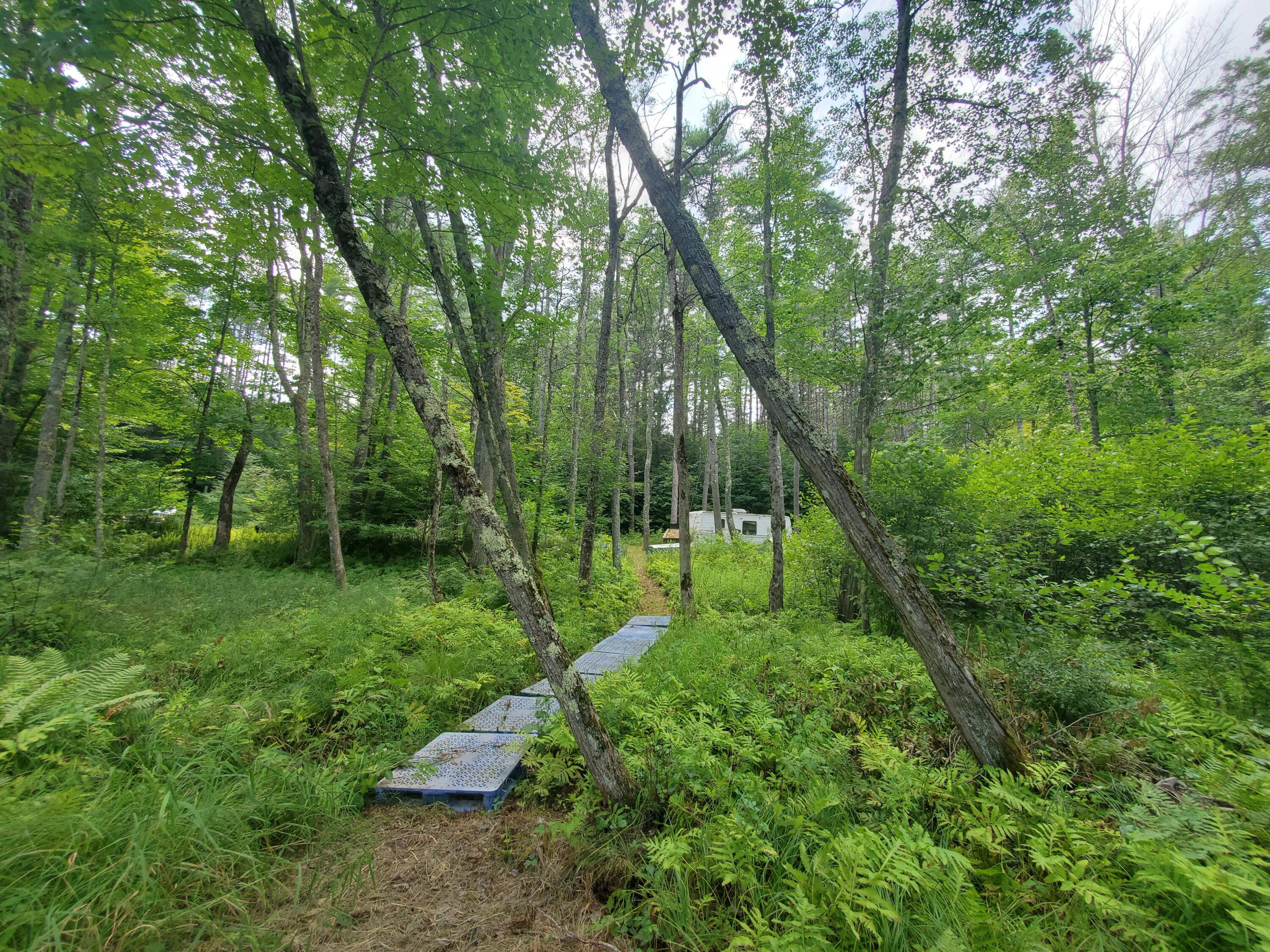 2 Dixon Road, Chestertown, New York image 18