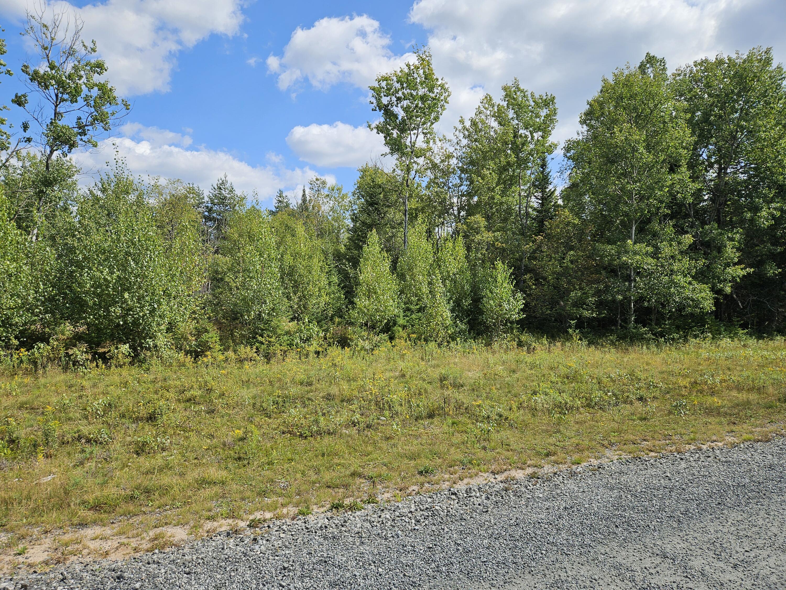 Lot 16 Daigneau Trail, Merrillsville, Alabama image 1