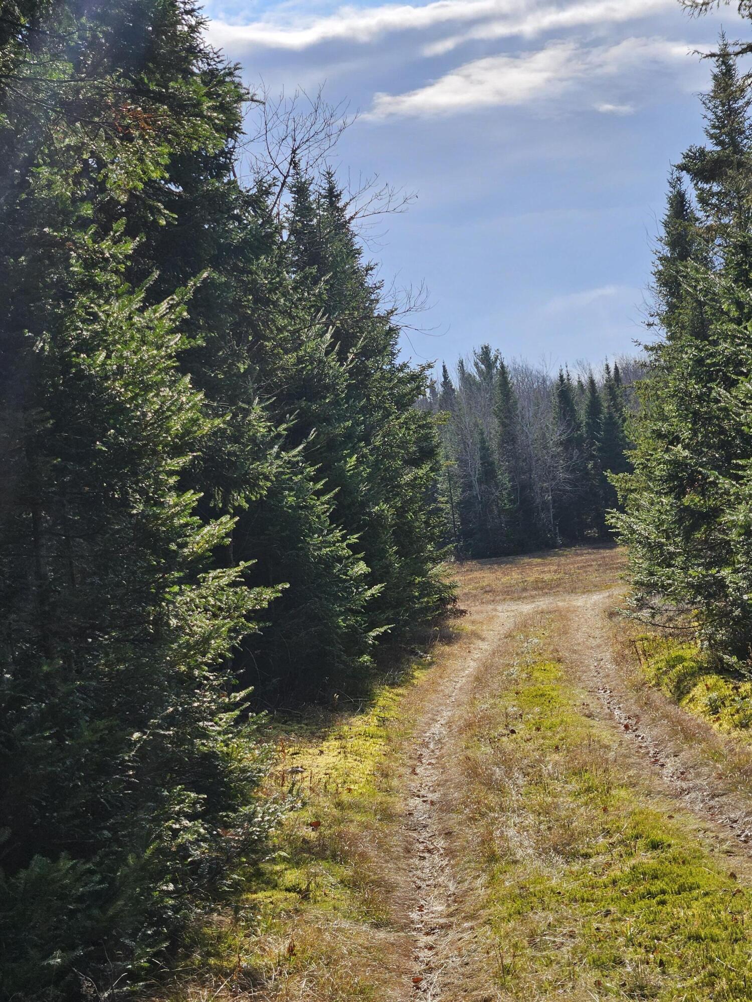 Lot 15 Daigneau Trail, Merrillsville, Alabama image 5