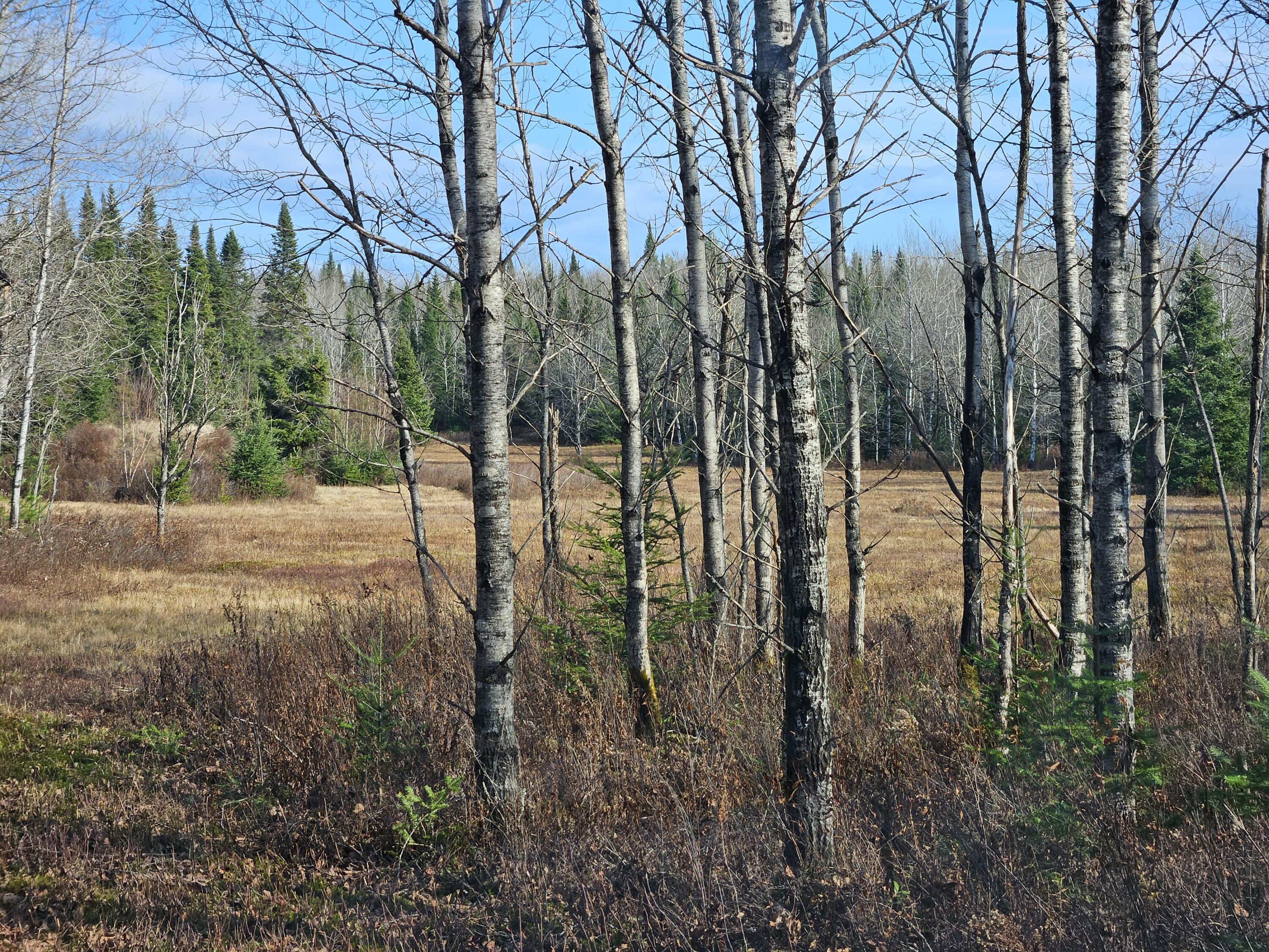Lot 15 Daigneau Trail, Merrillsville, Alabama image 7