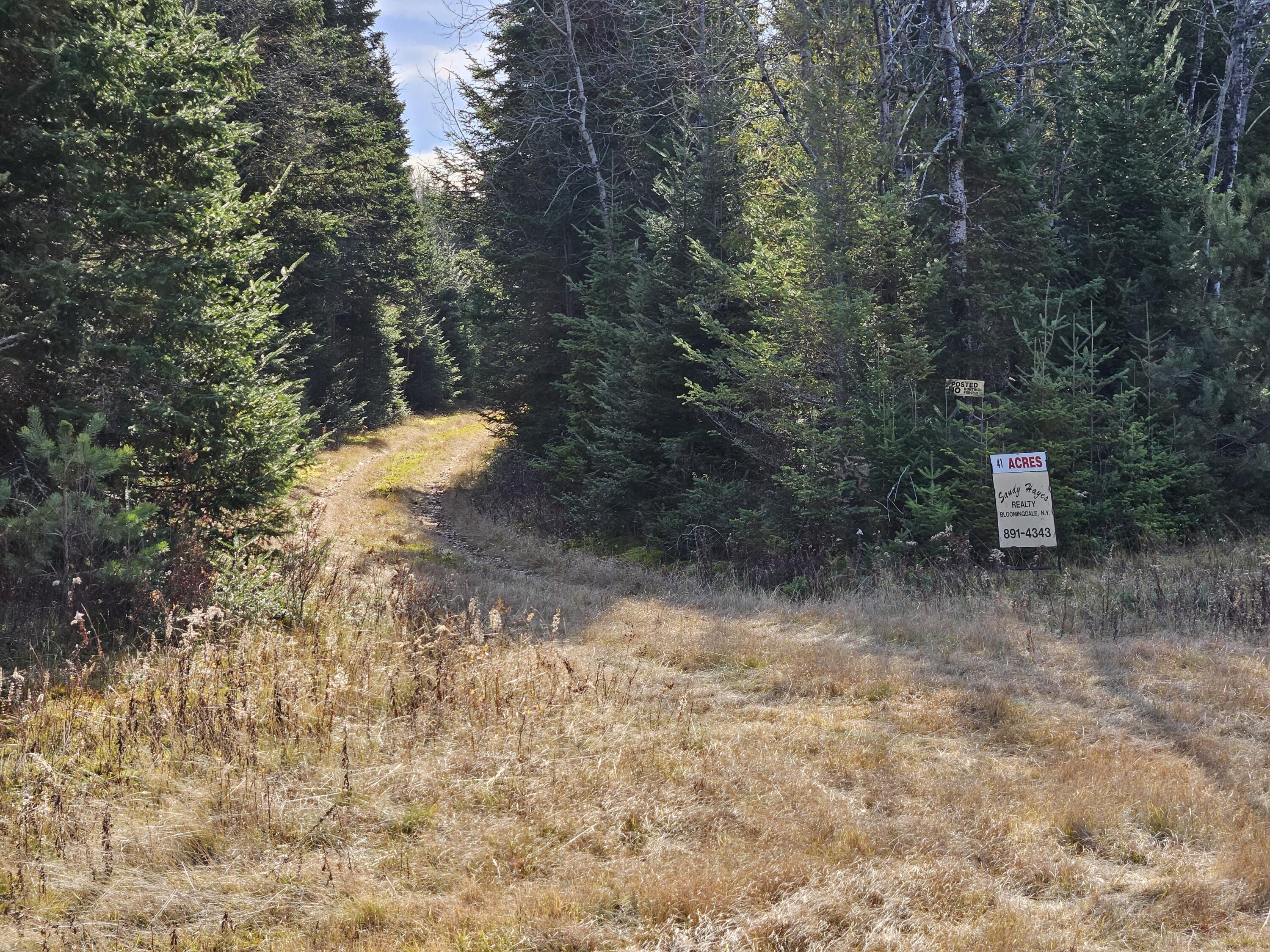 Lot 15 Daigneau Trail, Merrillsville, Alabama image 1
