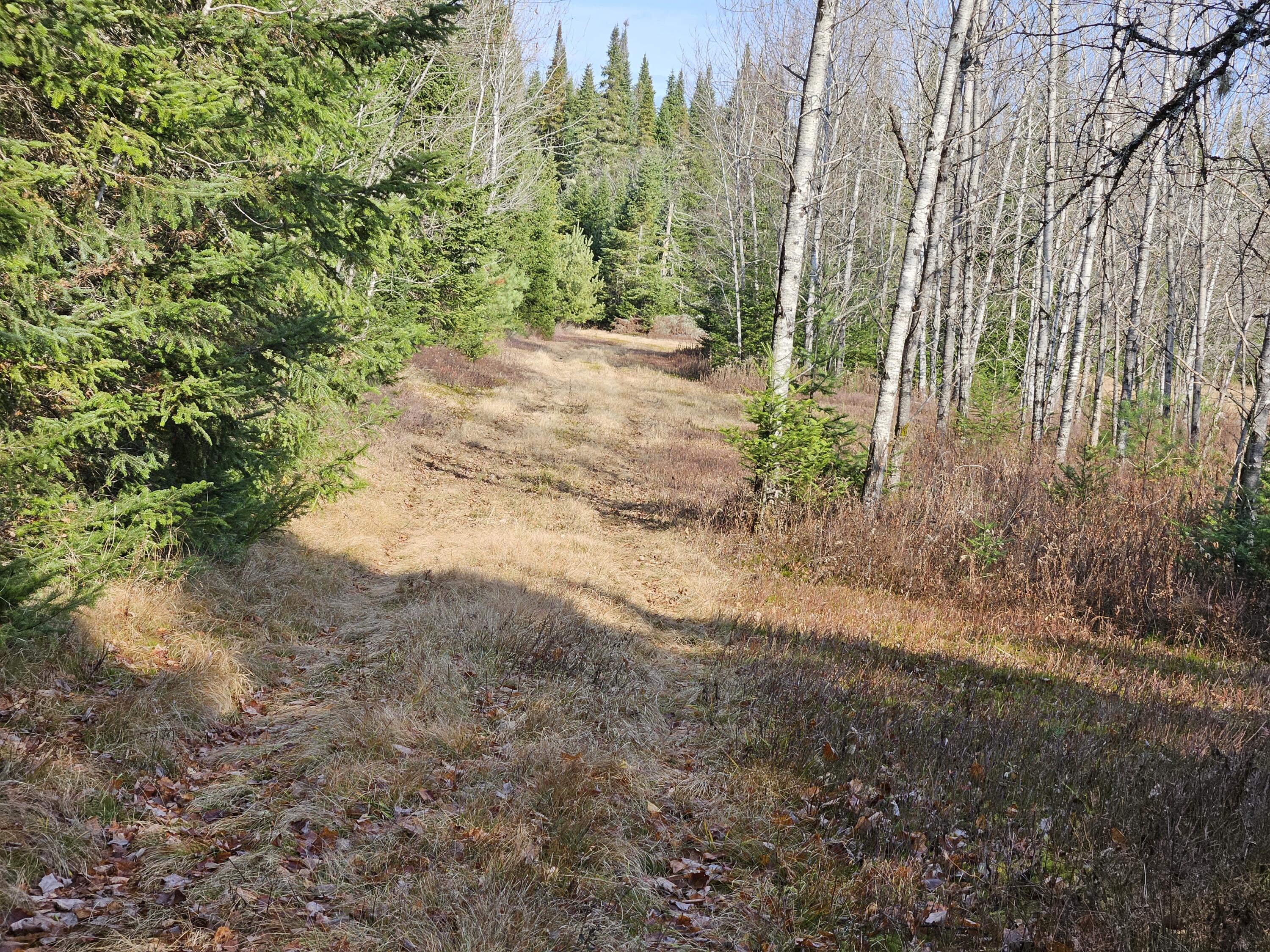 Lot 15 Daigneau Trail, Merrillsville, Alabama image 6