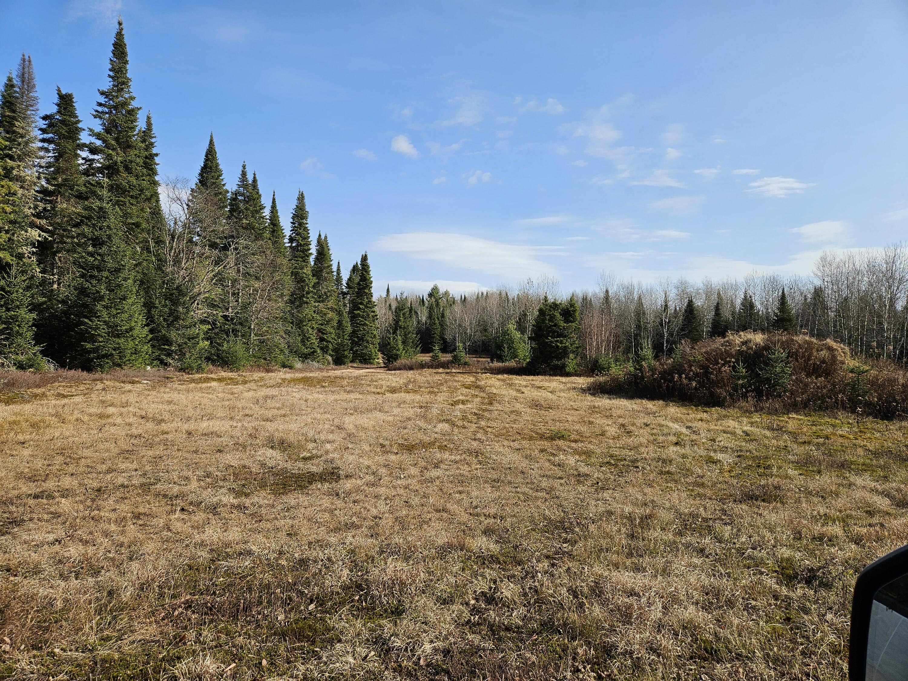 Lot 15 Daigneau Trail, Merrillsville, Alabama image 4