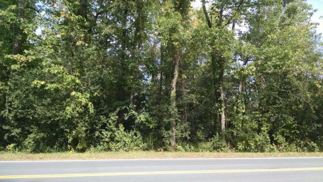 Lot 0 Lapham Mills Road, Peru, New York image 1