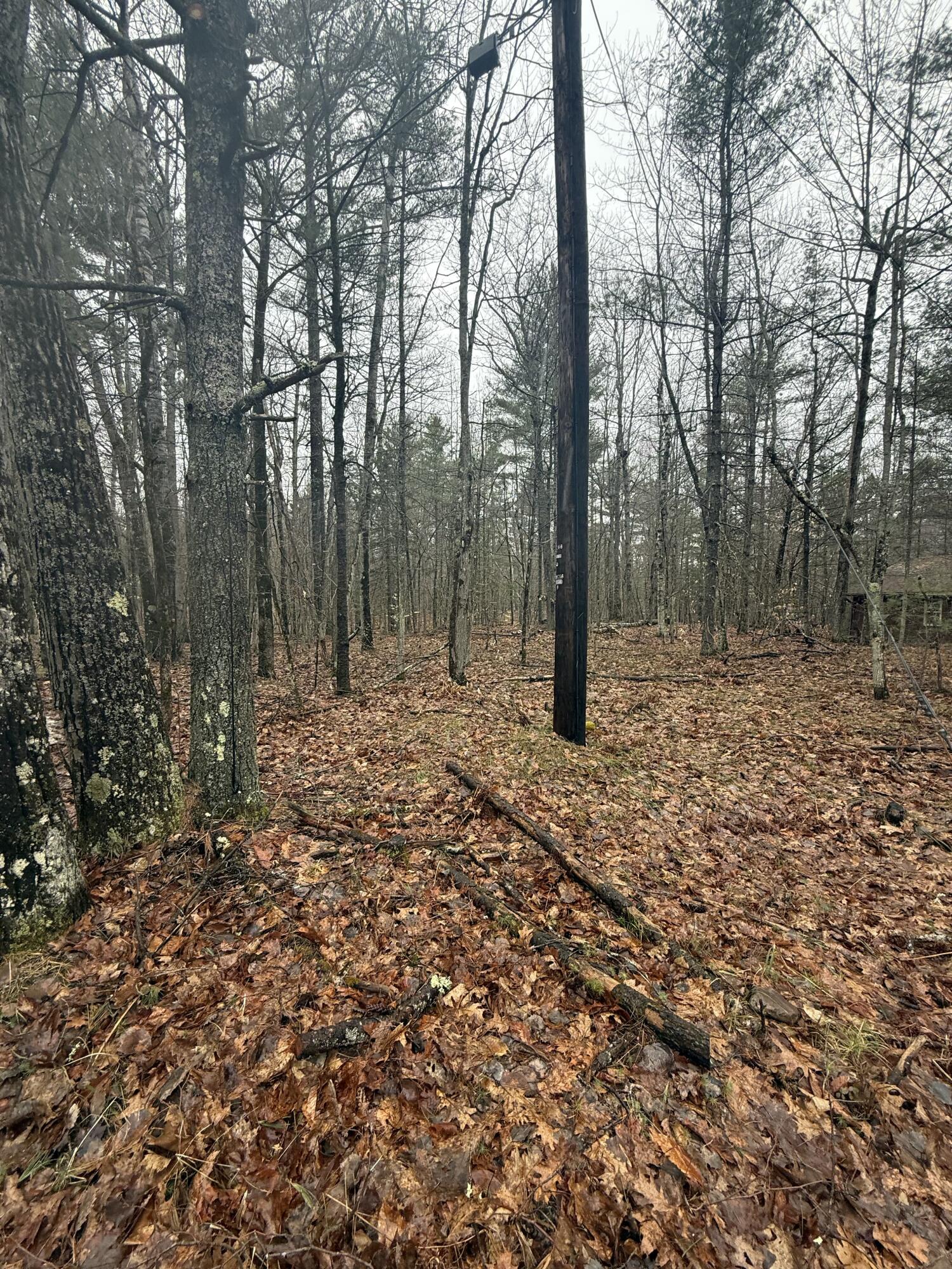 TBD Sequoia Mountain Lane