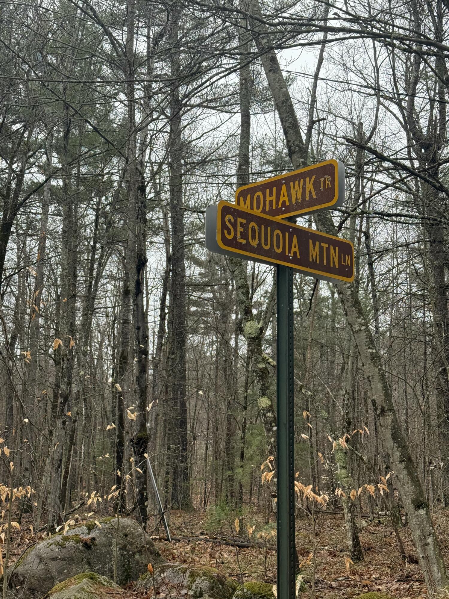 TBD Sequoia Mountain Lane