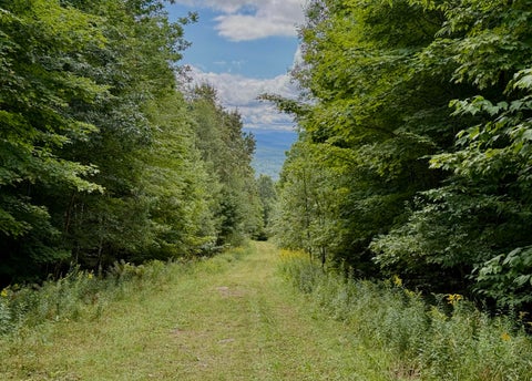 Vacant Land For Sale - Dann Road<br/> Saranac, NY 12981