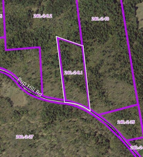 Vacant Land For Sale - Pup Hill Road<br/> Clinton County, Saranac, NY 12981
