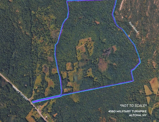 4580 MILITARY TPKE, ALTONA, NY 12910 - Image 997b3f05b39d09f2ecb8c3a0a3fb56ed/3880313173