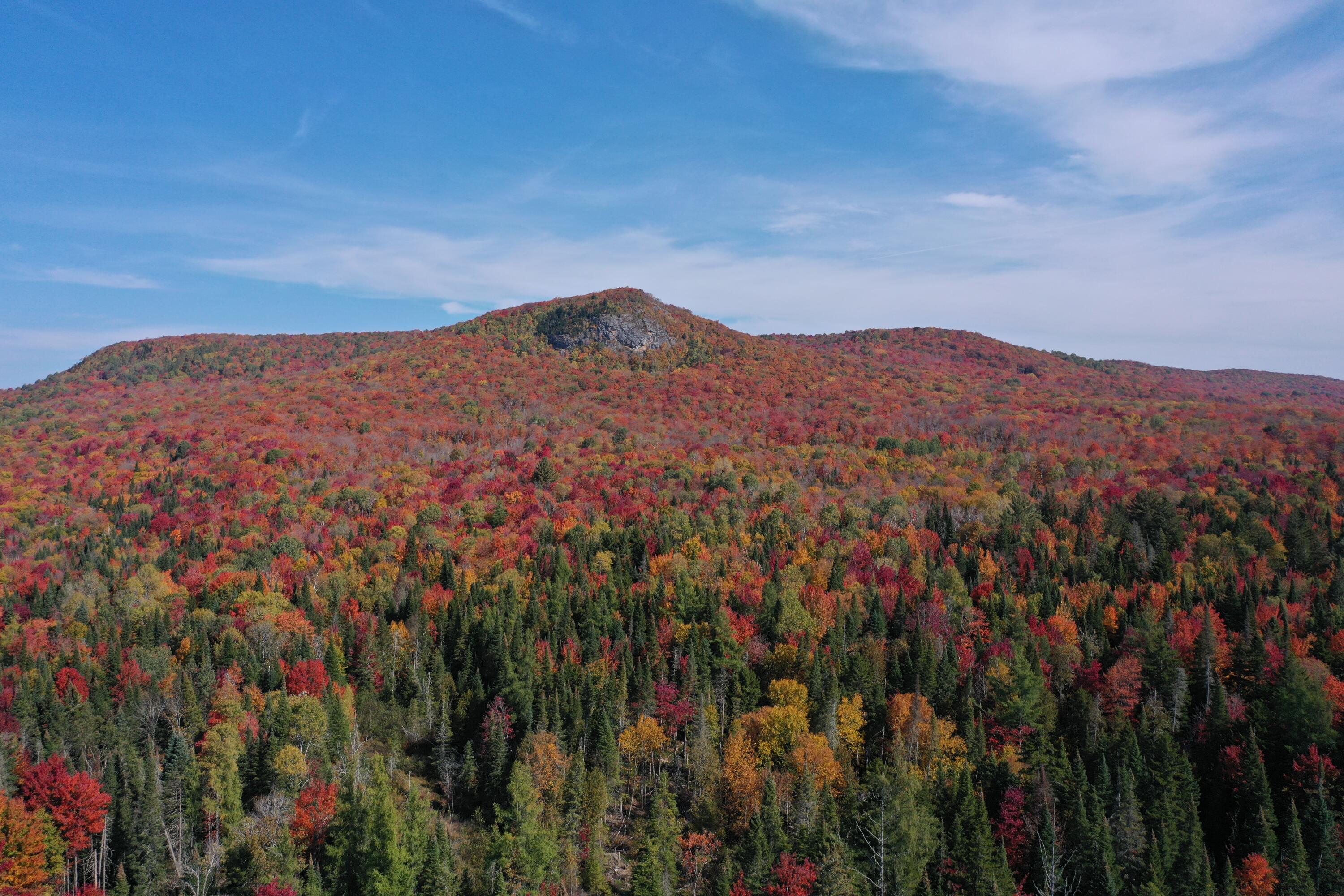 32 Mill Pond Road Road, Owls Head, New York image 7