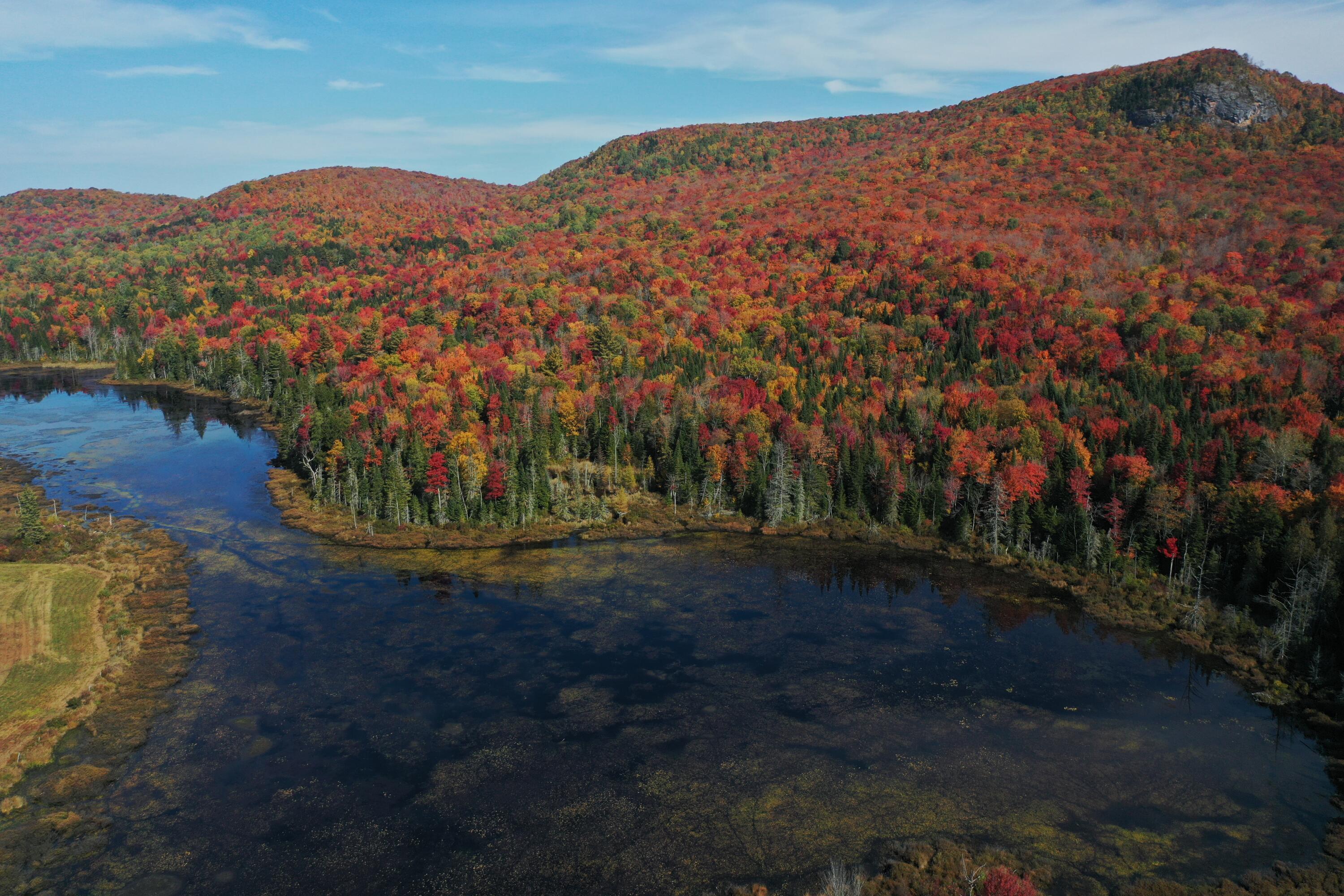 32 Mill Pond Road Road, Owls Head, New York image 8