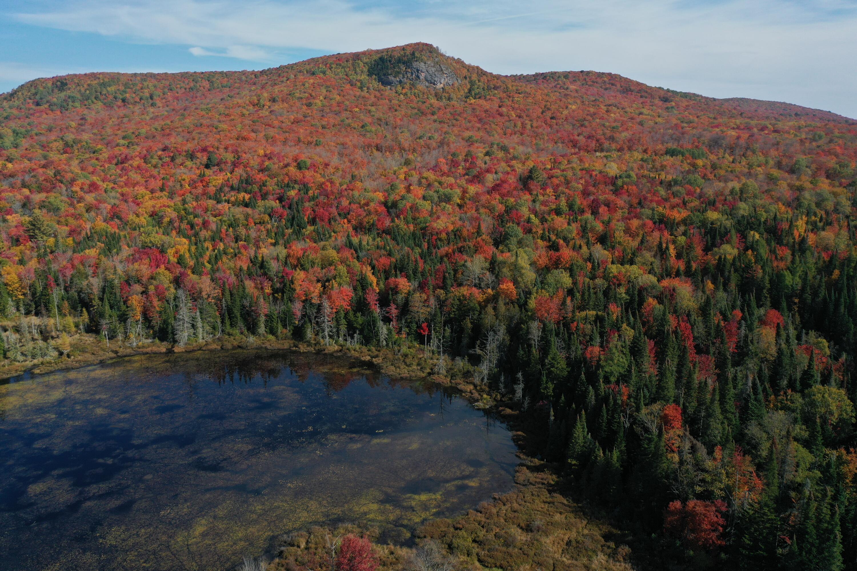 32 Mill Pond Road Road, Owls Head, New York image 9