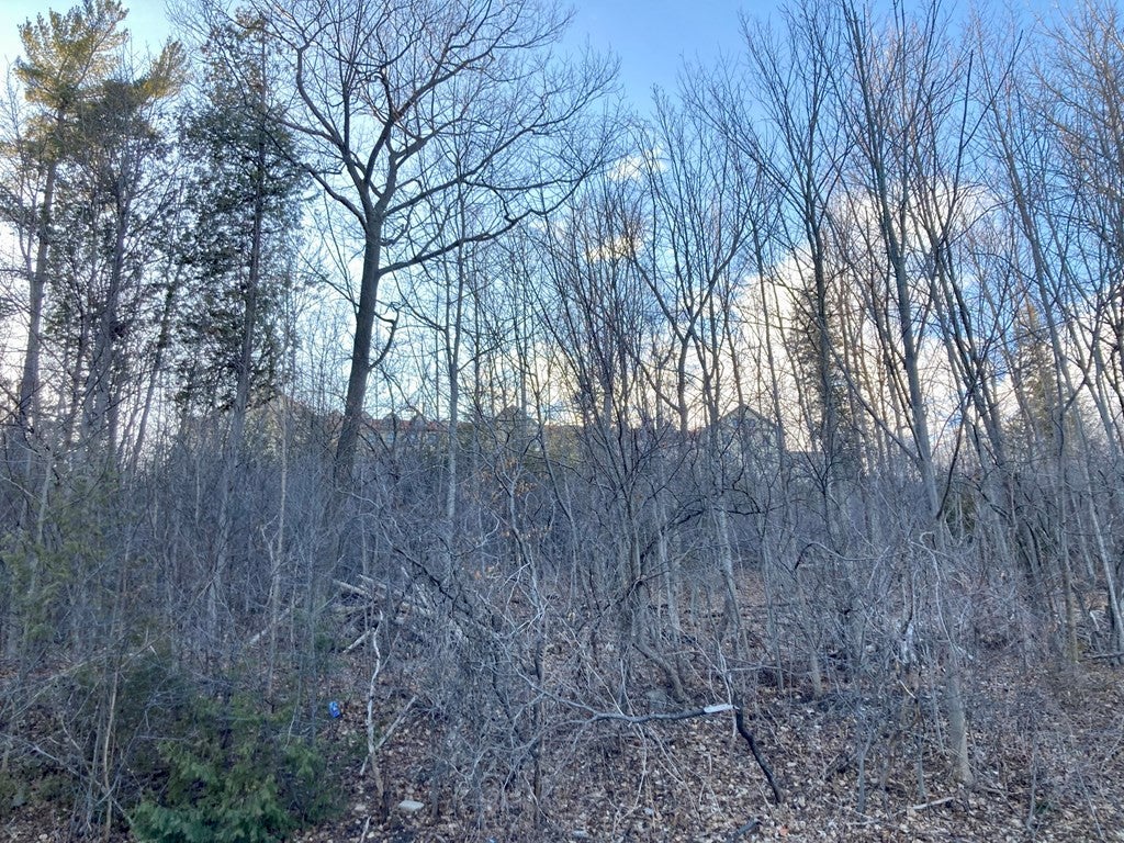 00 Wood Cliff Drive