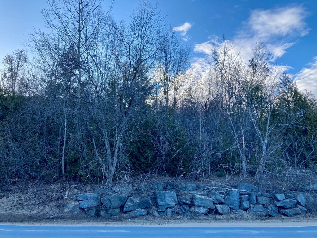 00 Wood Cliff Drive
