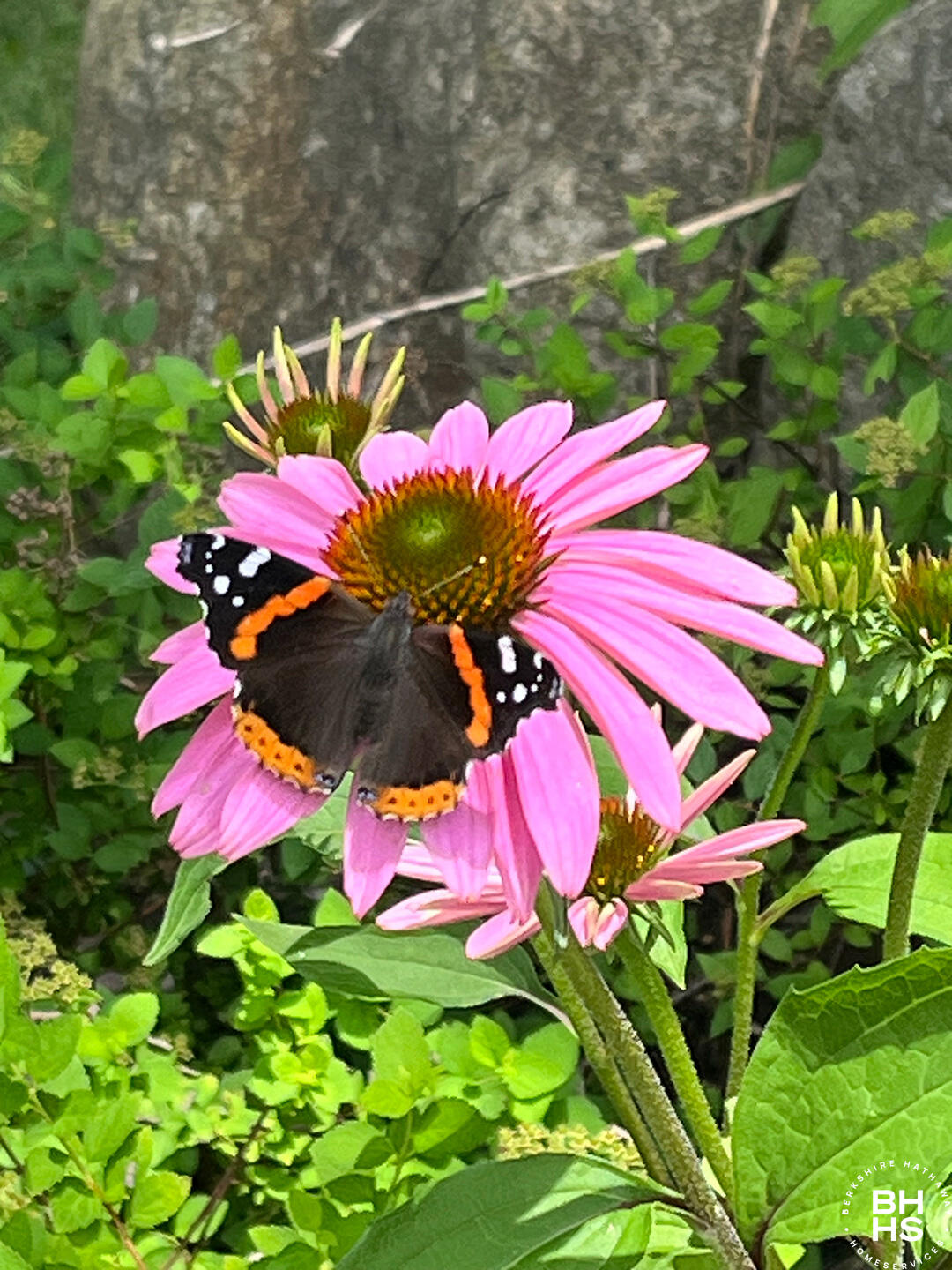 Saranac Lake, New York 12983, United States, 2 Bedrooms Bedrooms, ,2 BathroomsBathrooms,Residential,Pending,118713