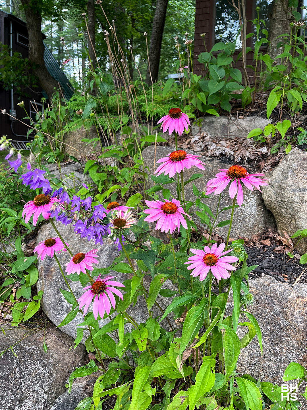 Saranac Lake, New York 12983, United States, 2 Bedrooms Bedrooms, ,2 BathroomsBathrooms,Residential,Pending,118713