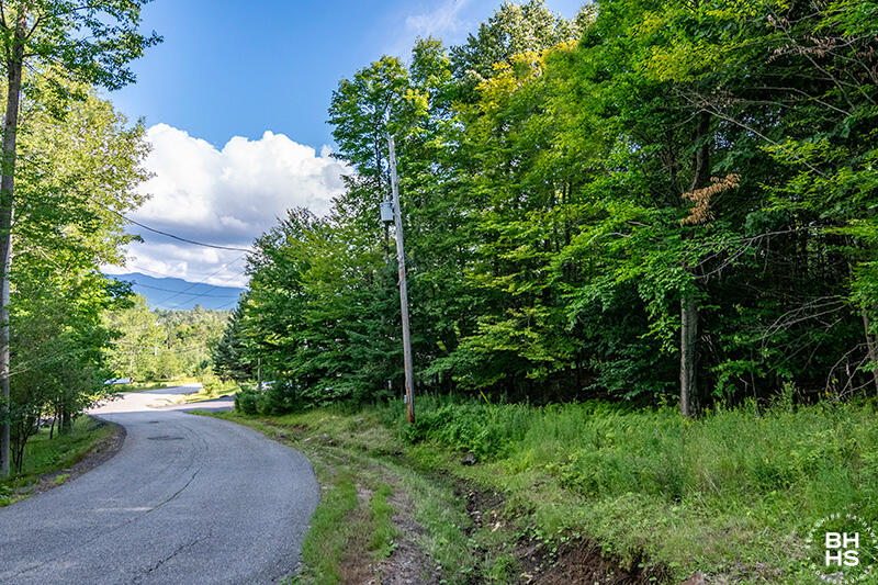 Reservoir Lane, Bloomingdale, New York image 2