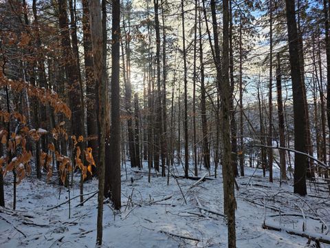 Photo of 0 Hochsteig Lane, Jay, NY 12941 (MLS # 206446)