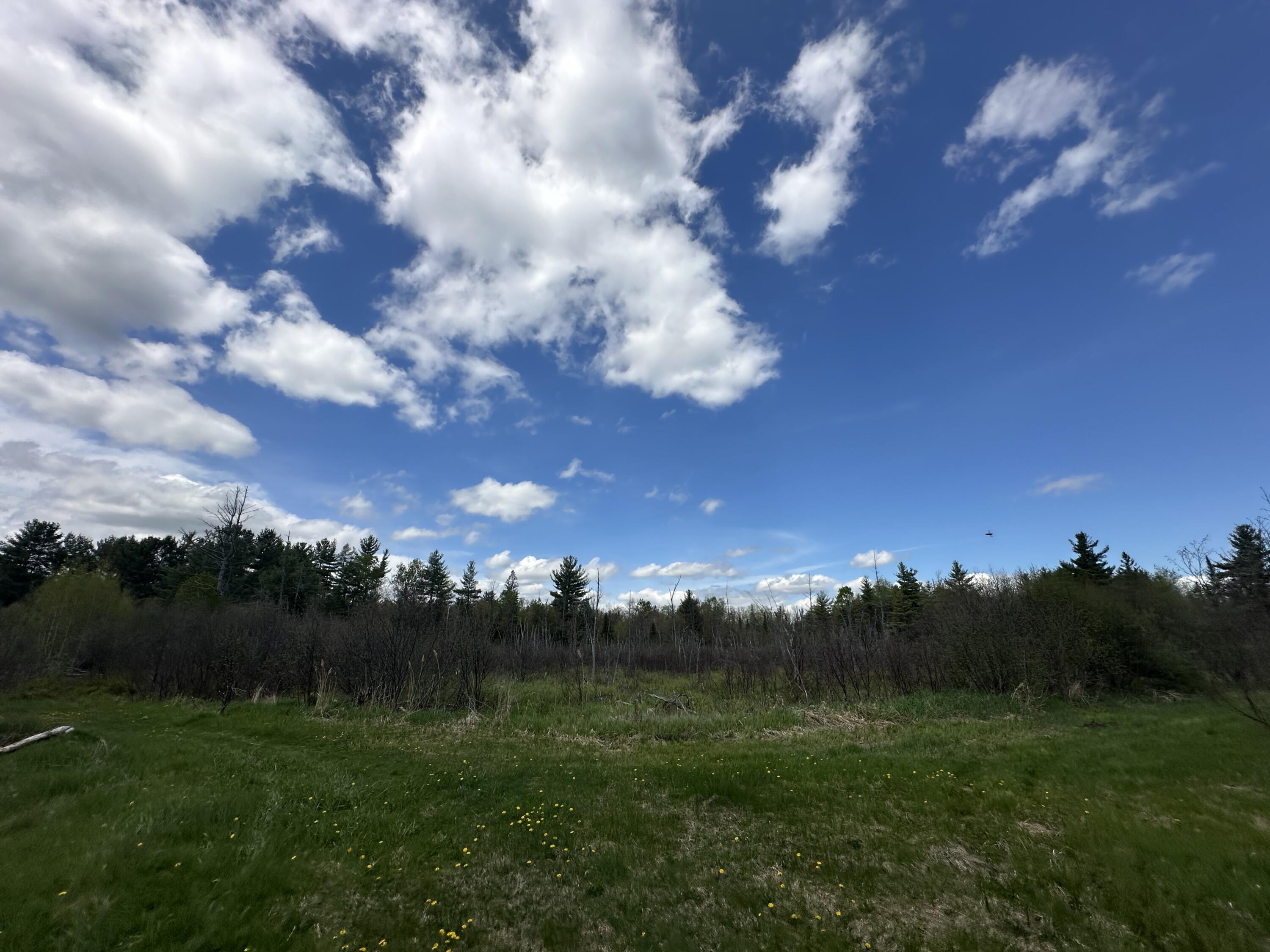 156 Hardscrabble Road Rd, Cadyville, New York image 4