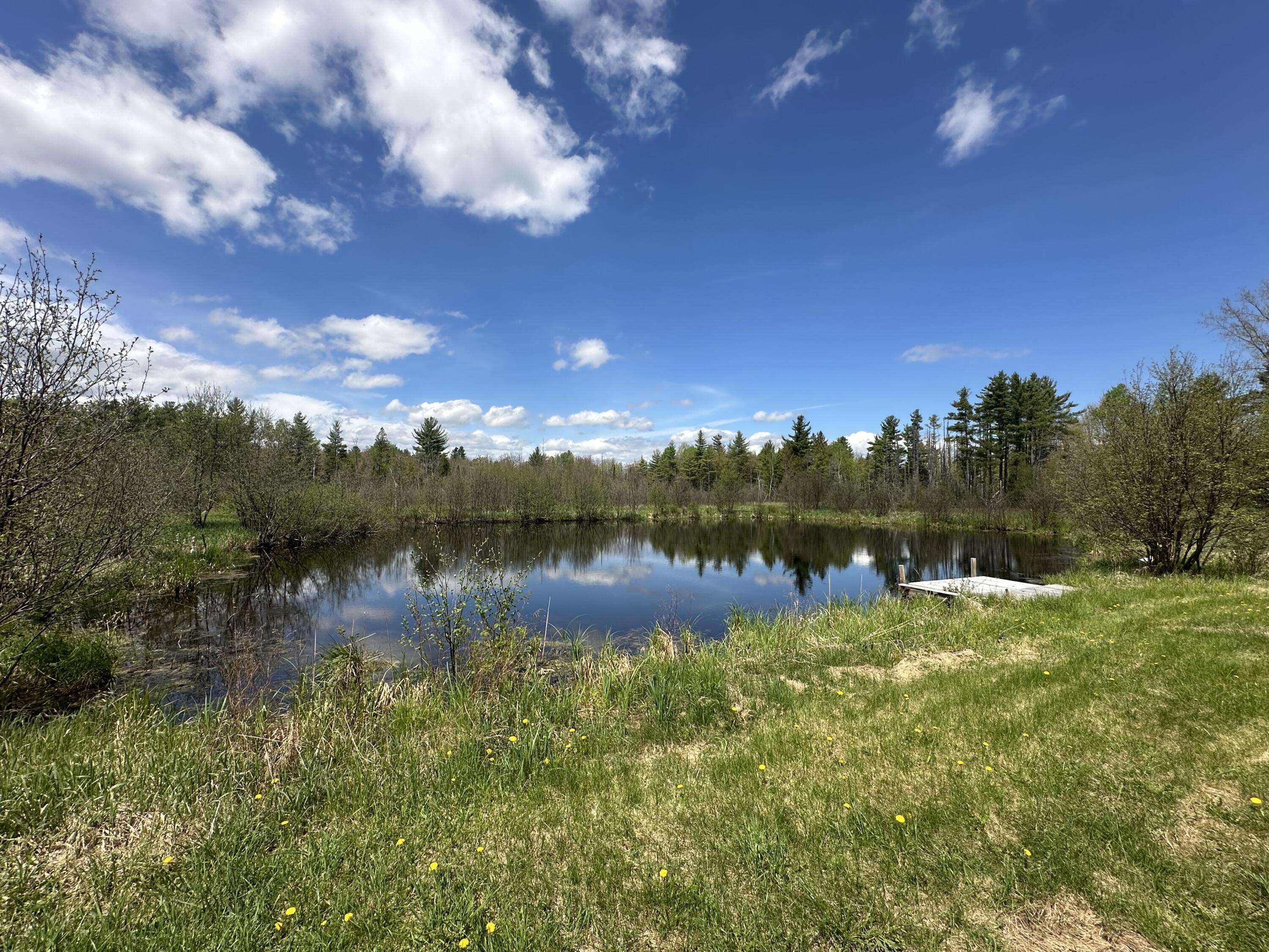 156 Hardscrabble Road Rd, Cadyville, New York image 1