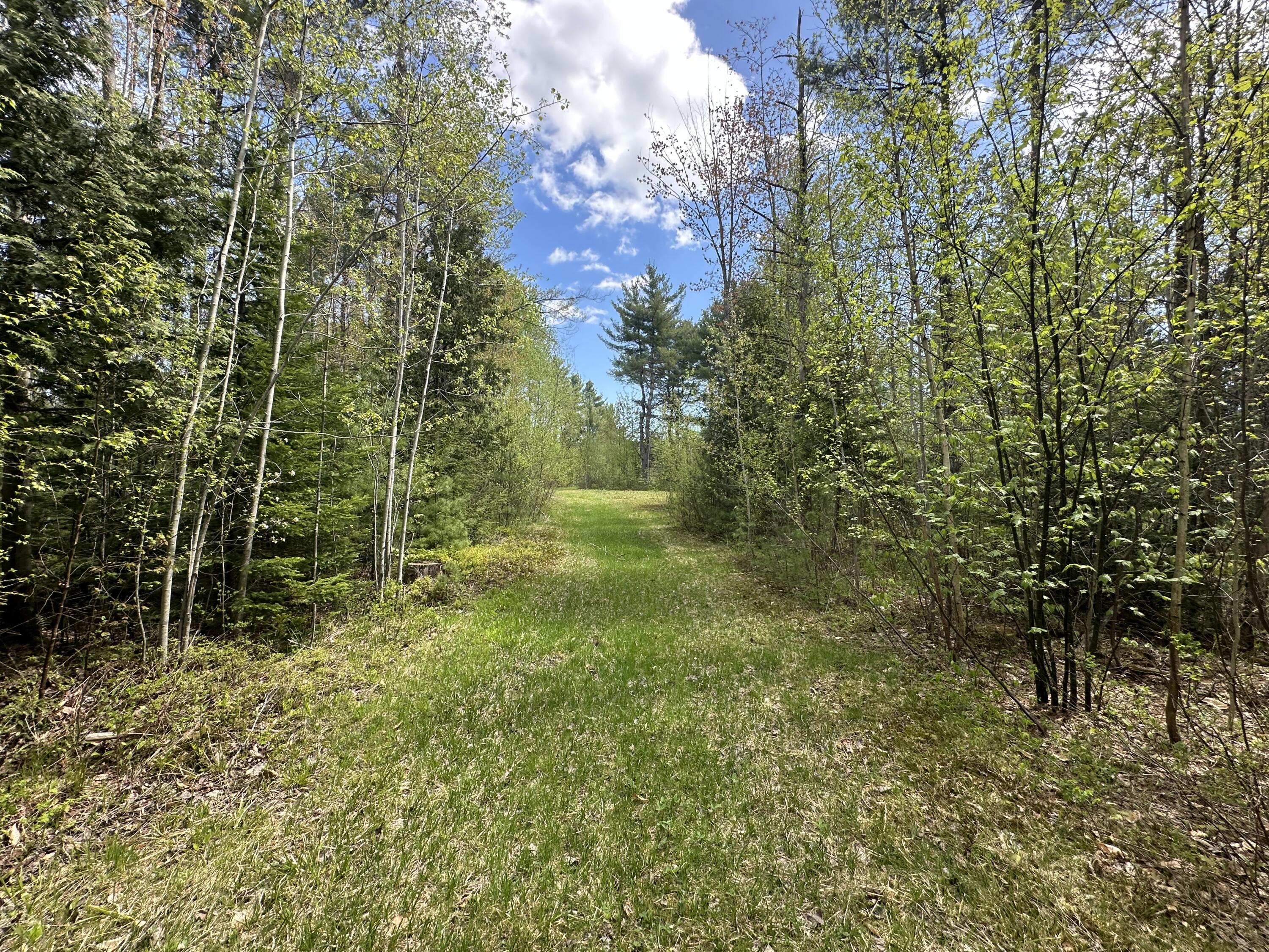 156 Hardscrabble Road Rd, Cadyville, New York image 15