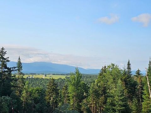 Vacant Land For Sale - 55 Jaelyn Way<br/> Franklin County, Vermontville, NY 12989