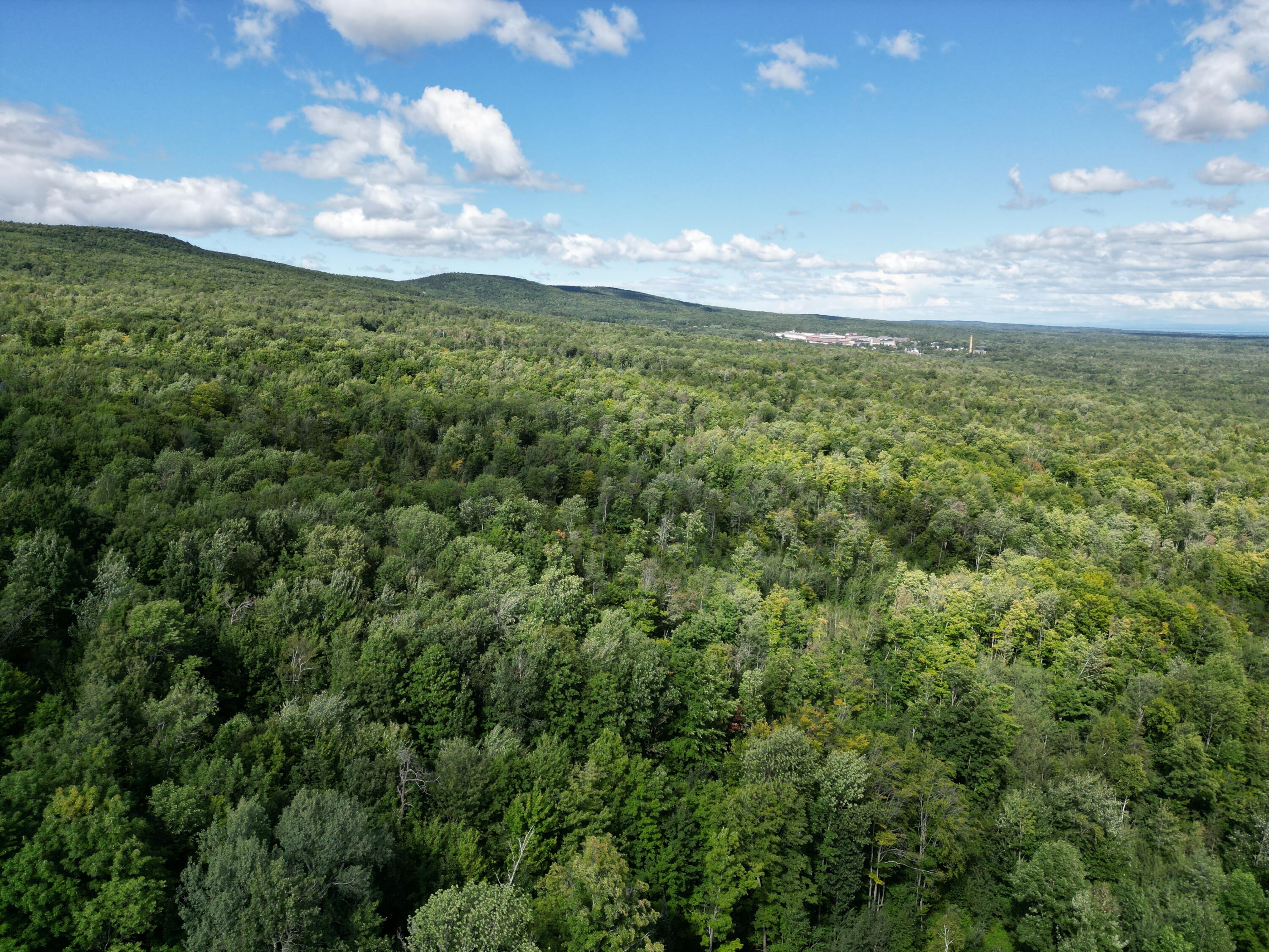 Nashville Road, Saranac, New York image 6