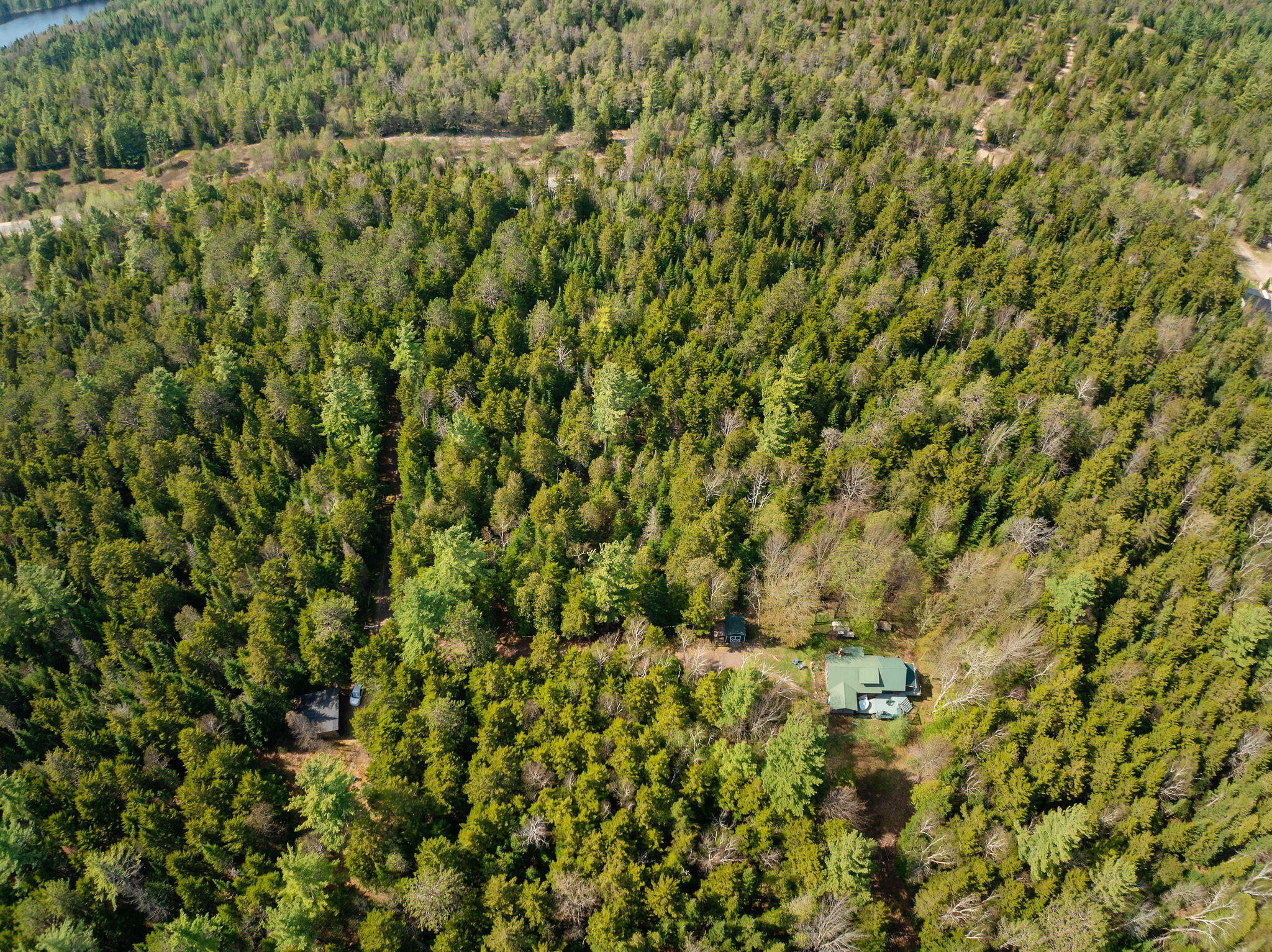 1147 Forestdale Road