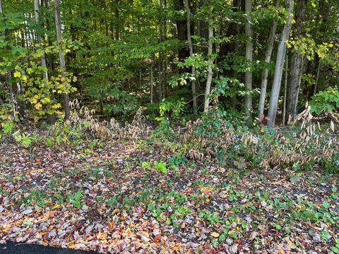 Vacant Land For Sale - 00 Oakview Terrace<br/> Rome, NY 13440