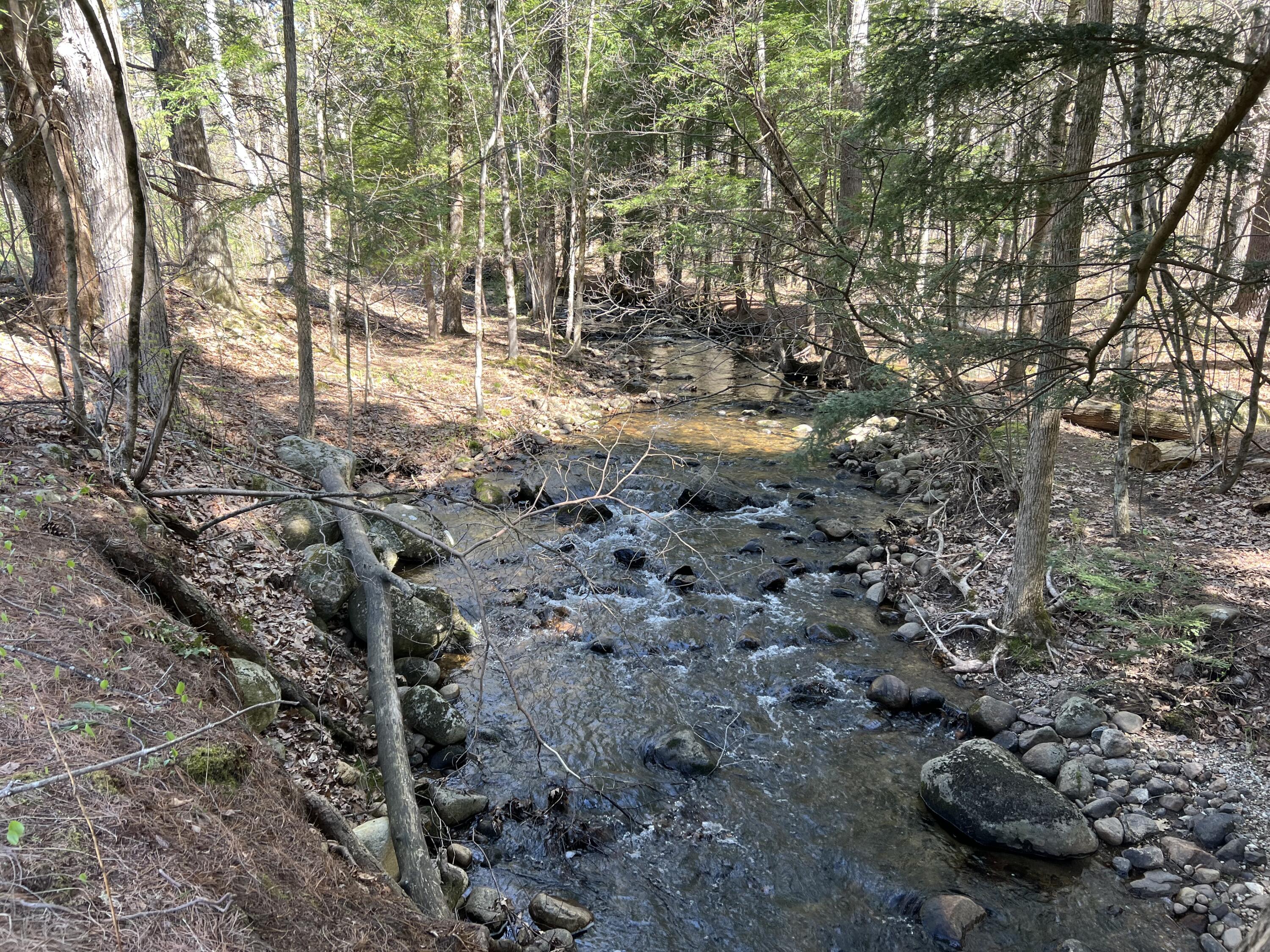24 Brewster Way Way, Elizabethtown, New York image 41