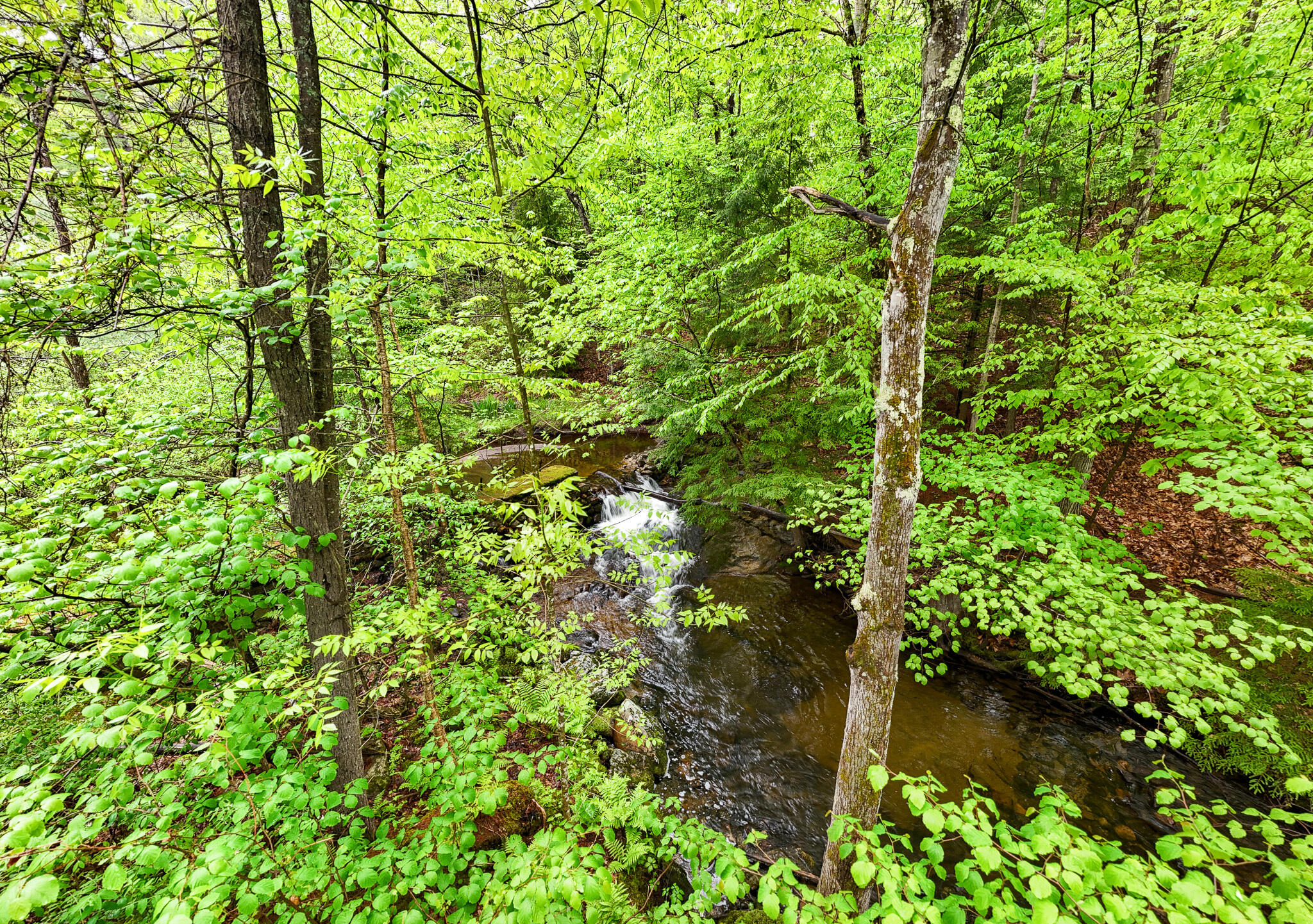 24 Brewster Way Way, Elizabethtown, New York image 42